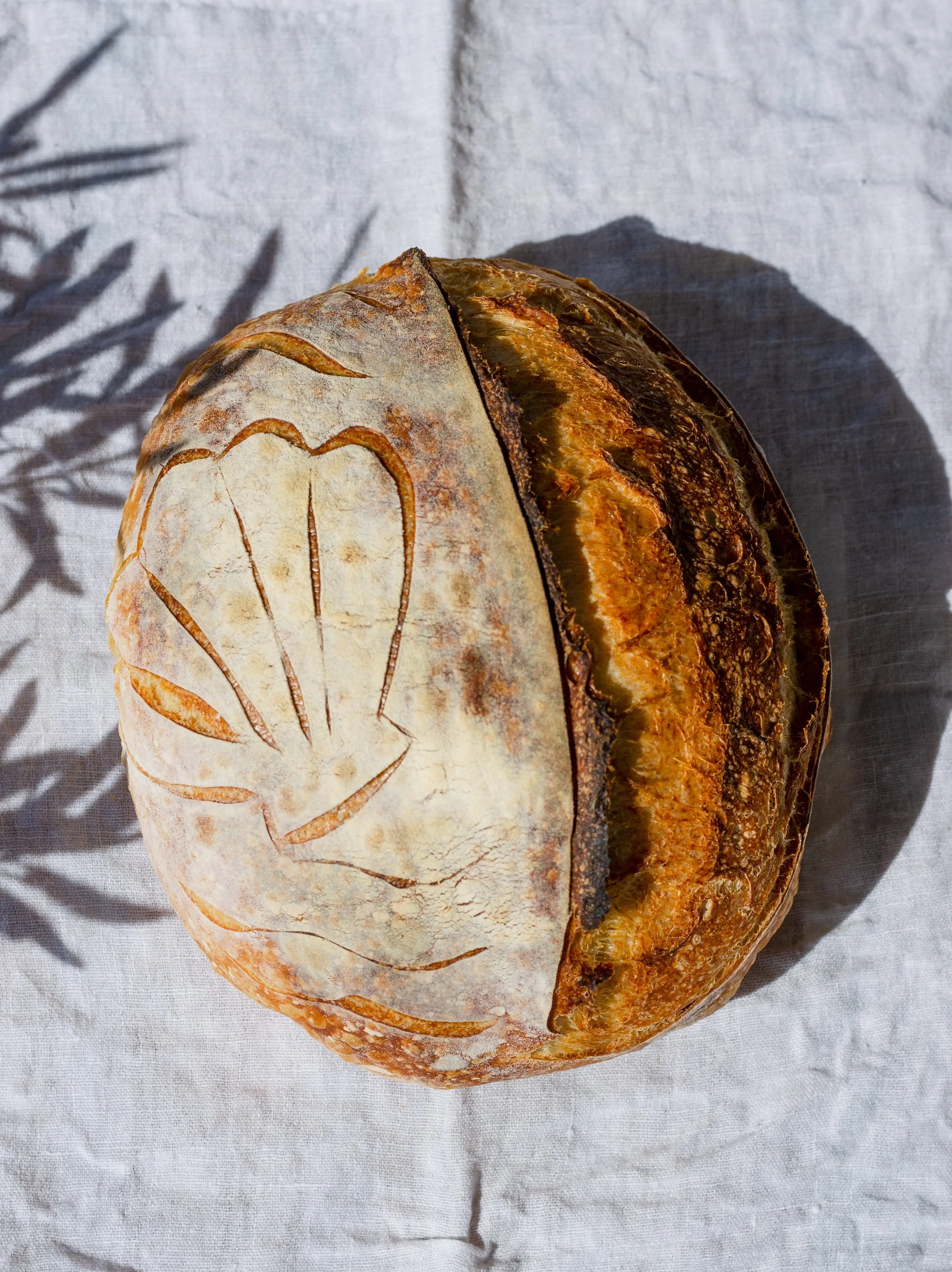 Sourdough bread