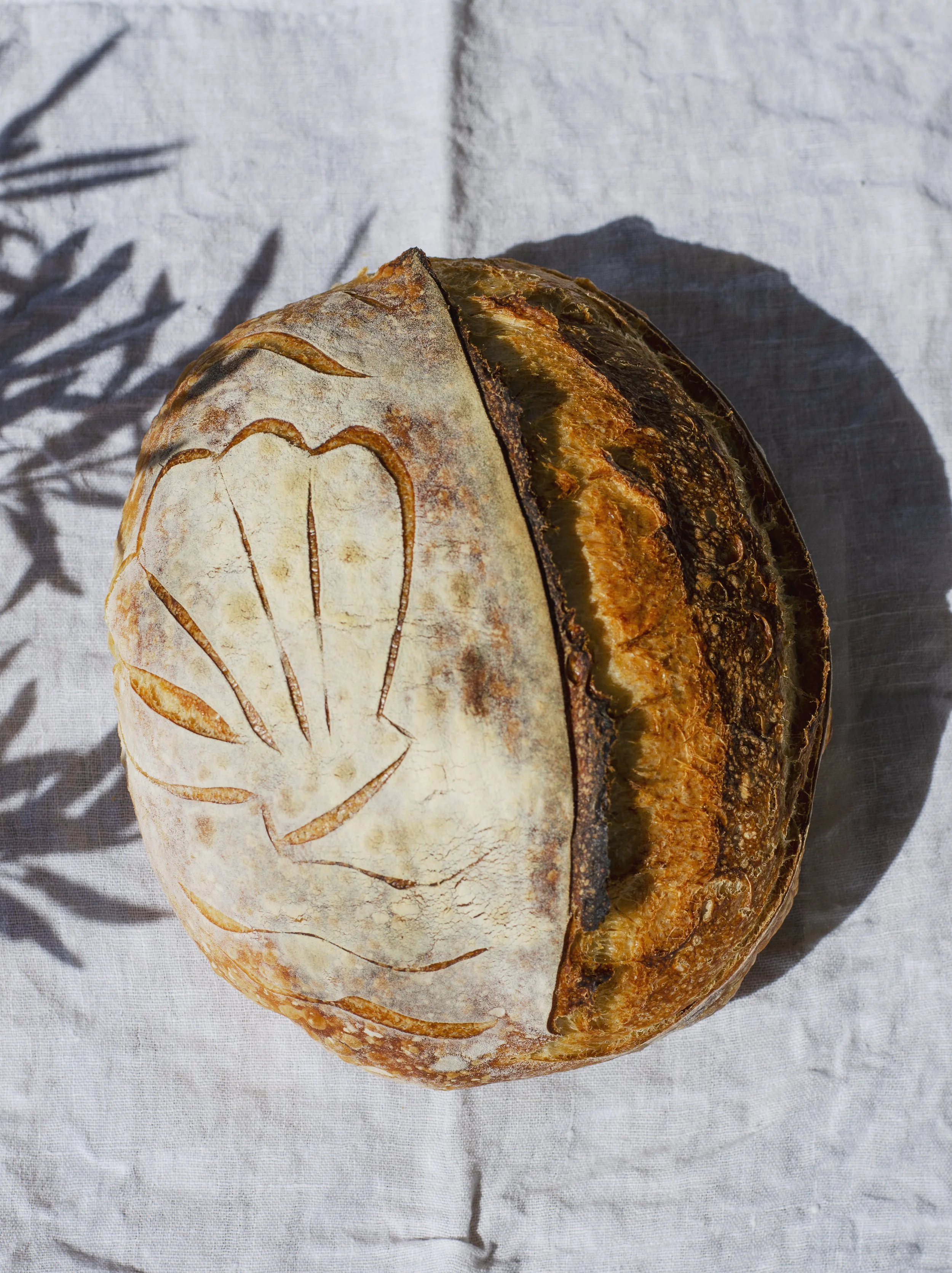 Sourdough bread