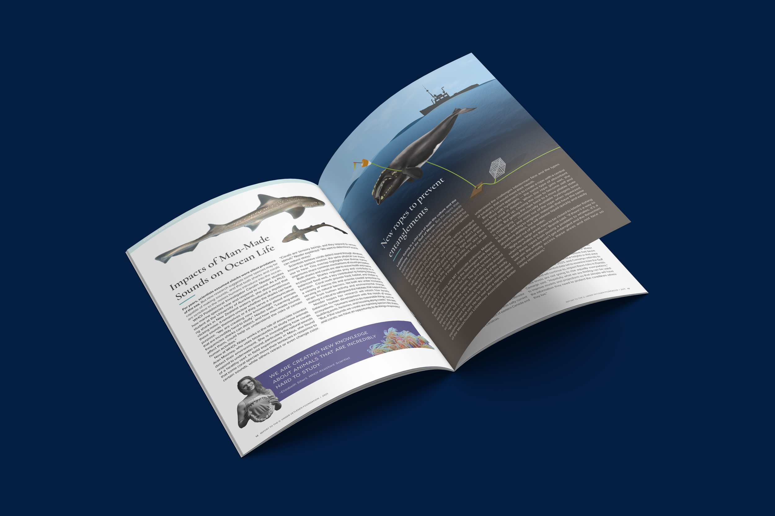 Vetlesen Foundation Report