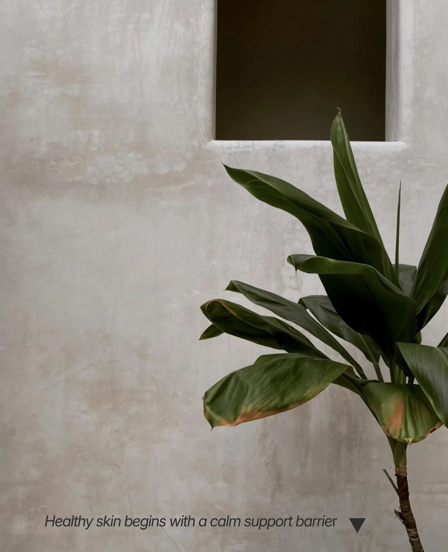 A new year doesn&rsquo;t need a harsh reset, your skin needs calm.

After a busy December, the most important thing you can do for your skin is slow down, restore balance, and support the barrier.

Healthy skin starts with:
&bull; calm
&bull; consist