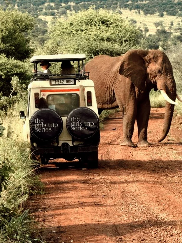 Serengeti. Ngorongoro. Zanzibar - The Girls Trip Series Is Going to Tanzania.
