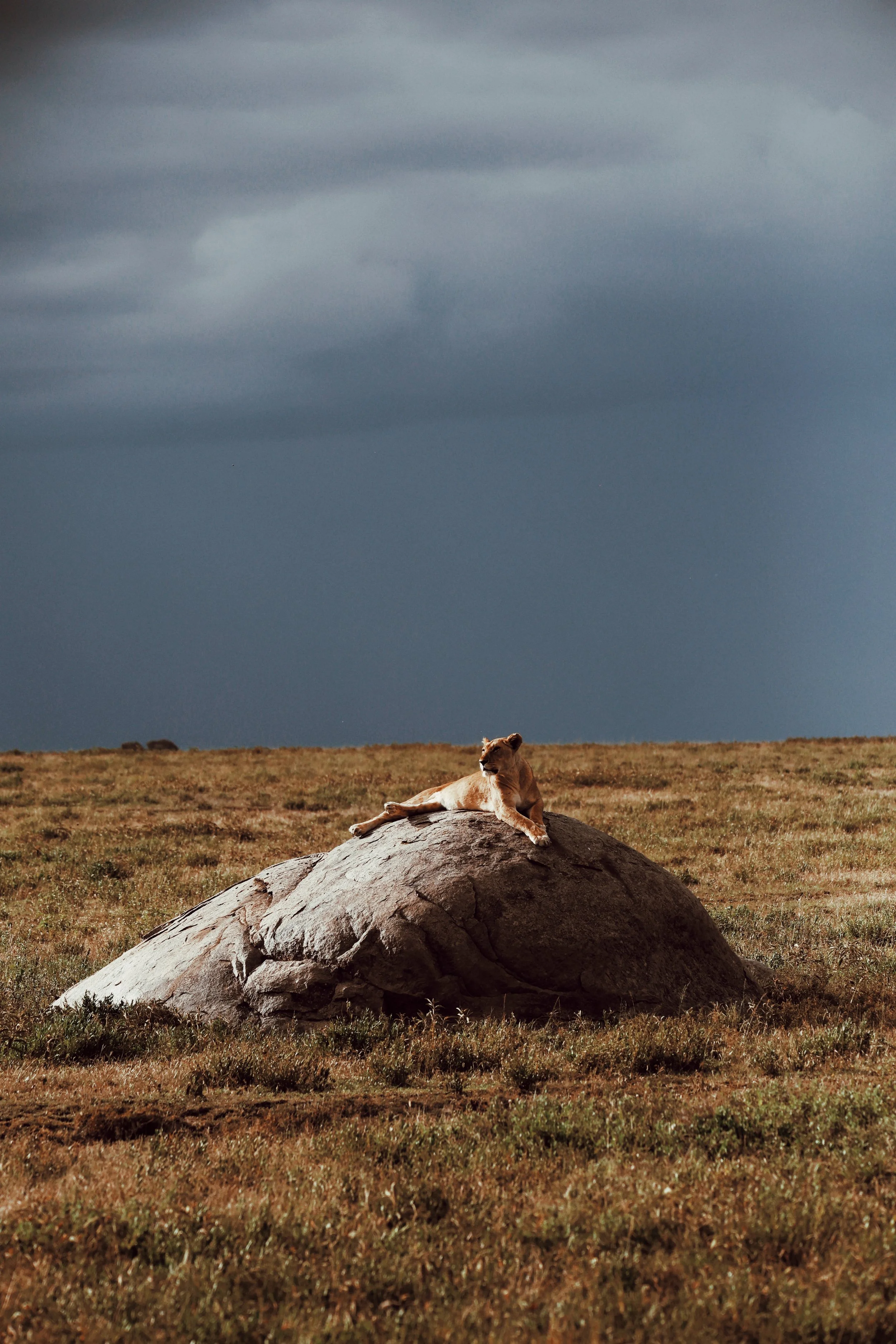 4U7A7822_VSCO_VSCO.JPG