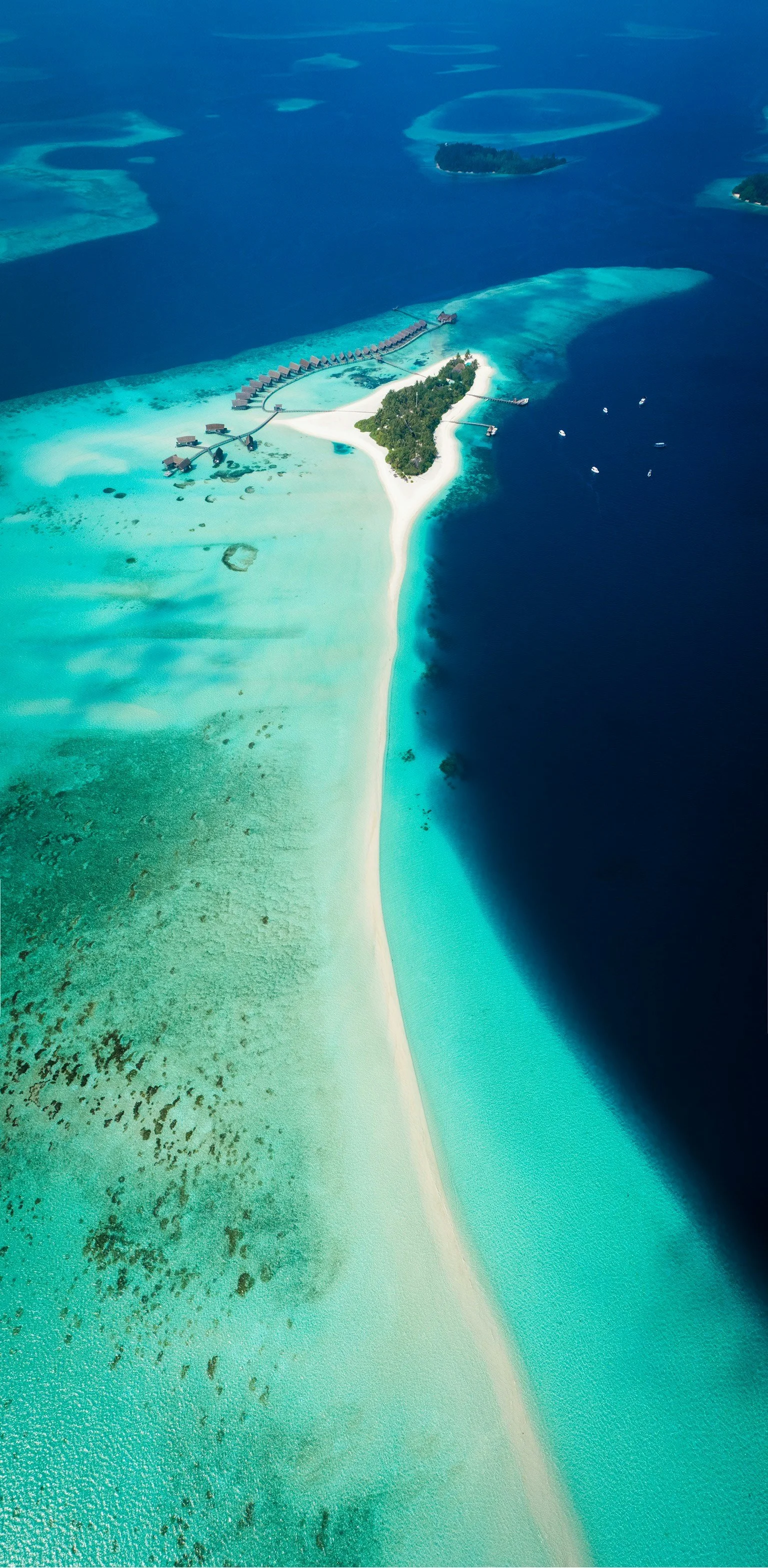 shifaaz-shamoon-AAFH_AADpRg-unsplash (1).jpg