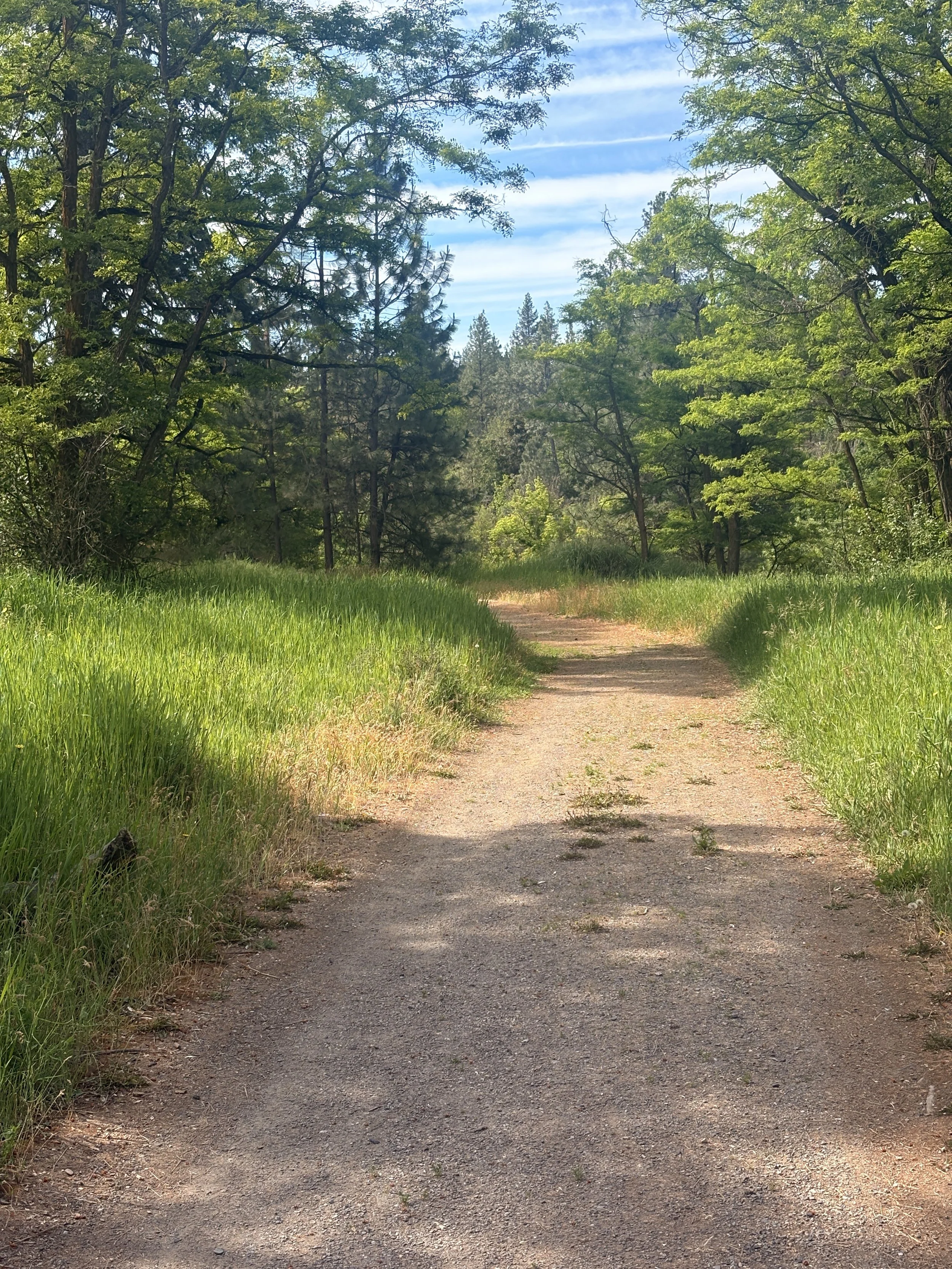 beautiful wide hiking trail in Spokane, WA