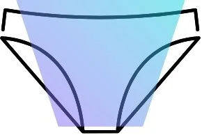 Colored area showing where the wax would go during a standard full bikini wax at La Chambre Rose in Spokane Valley.