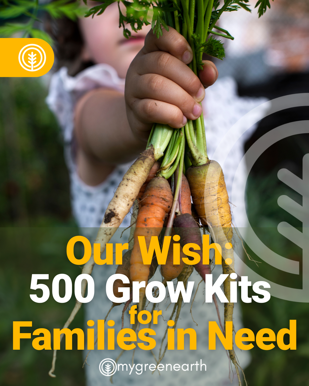 Our Wish: Food Access for All