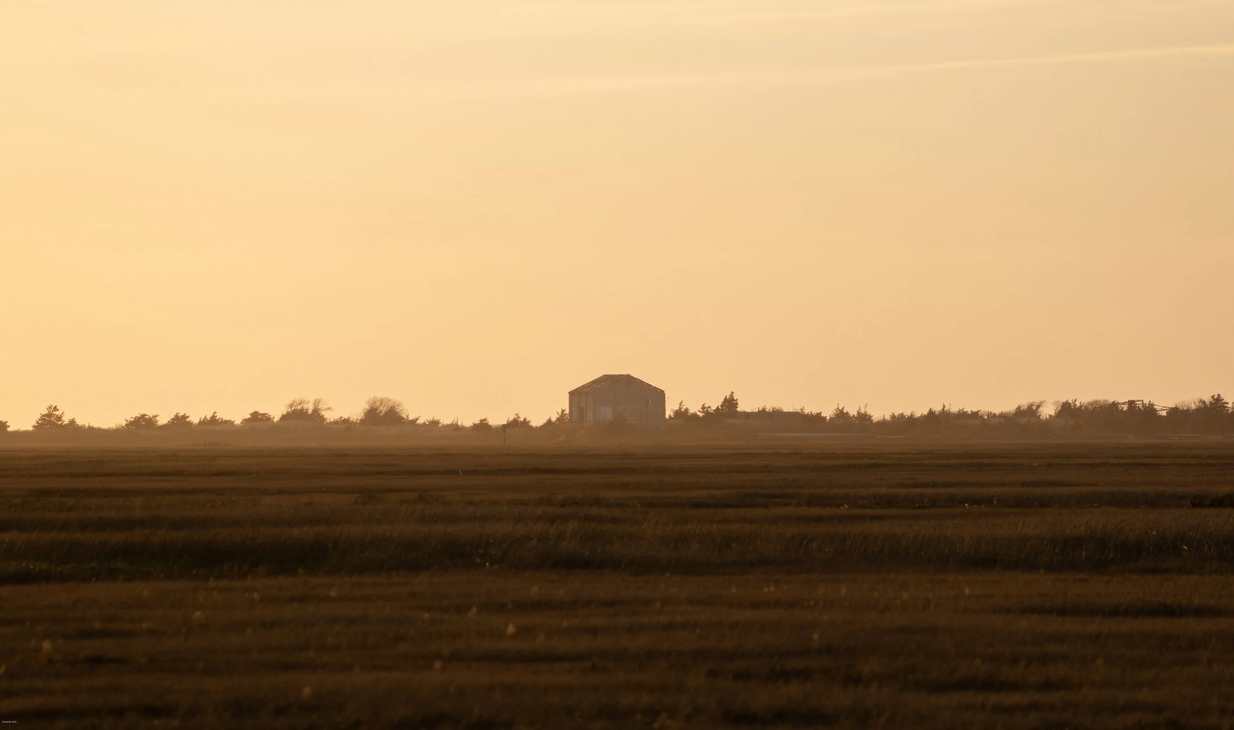 Landscapes