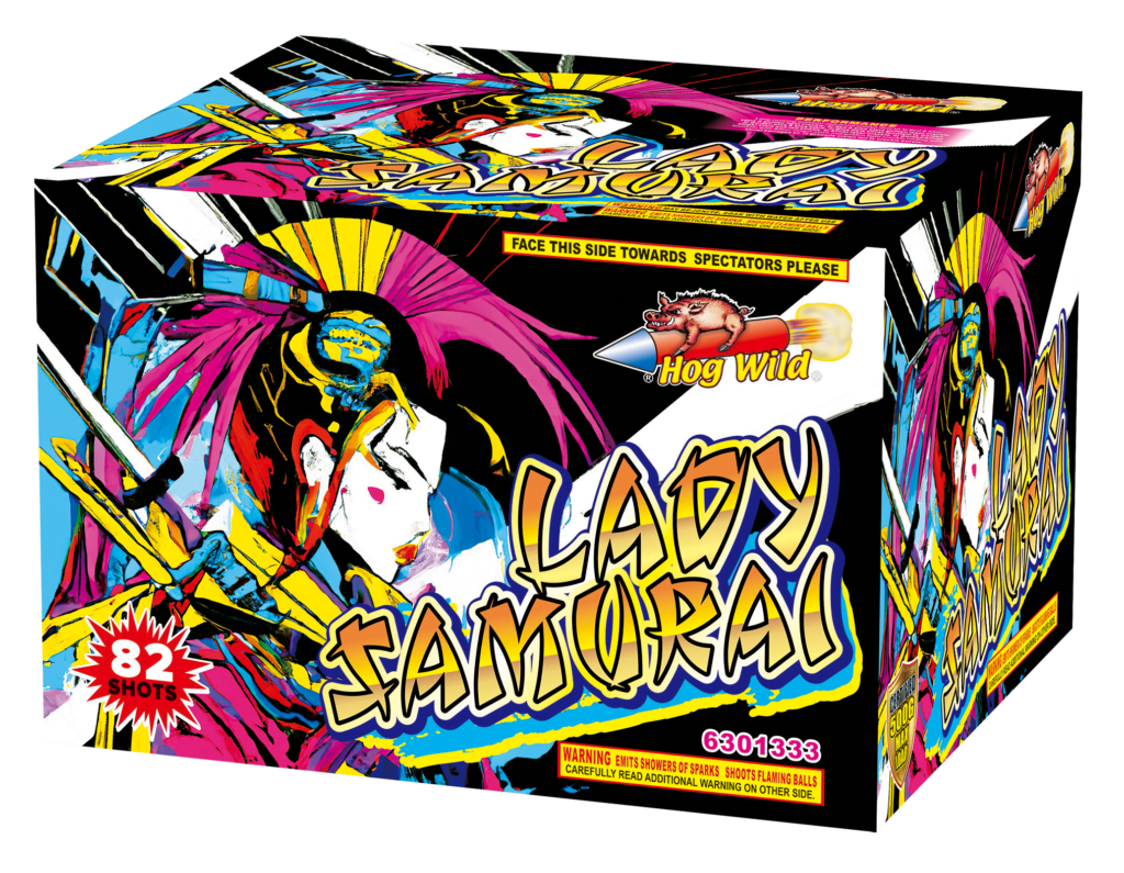6301333-Lady-Samurai-1024x795.png