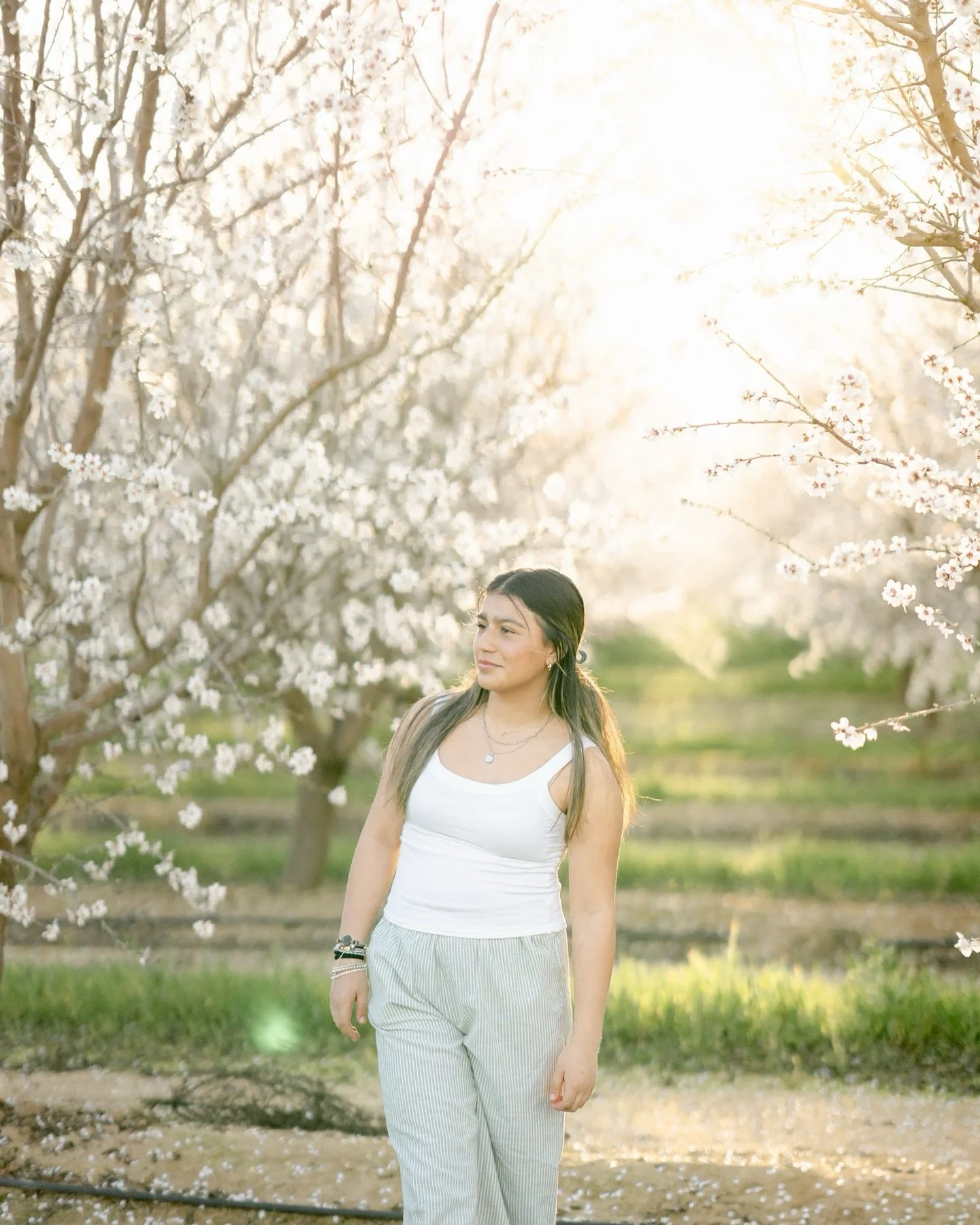 This blossom season in the Central Valley was nothing short of breathtaking&mdash;endless rows of blooms and so many beautiful family sessions! 🌸📷 I&rsquo;ve been soaking in every moment, capturing love, laughter, and memories that will last a life