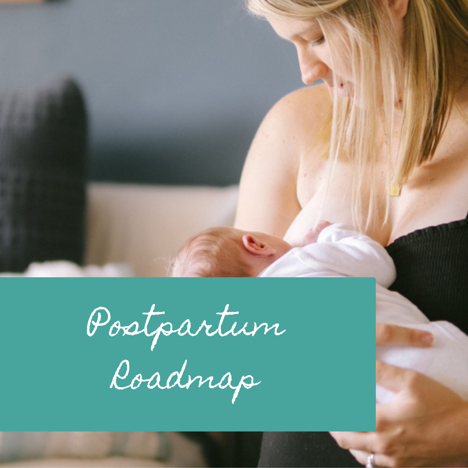 js_postpartum_roadmap.png