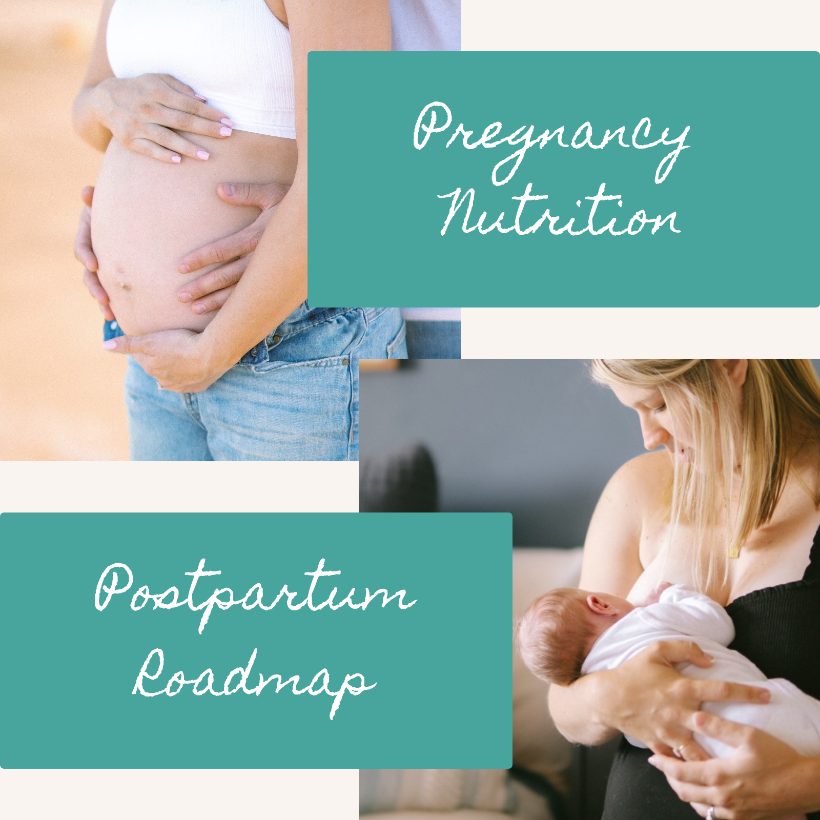 Pregnancy Nutrition and Postpartum Roadmap Bundle.png