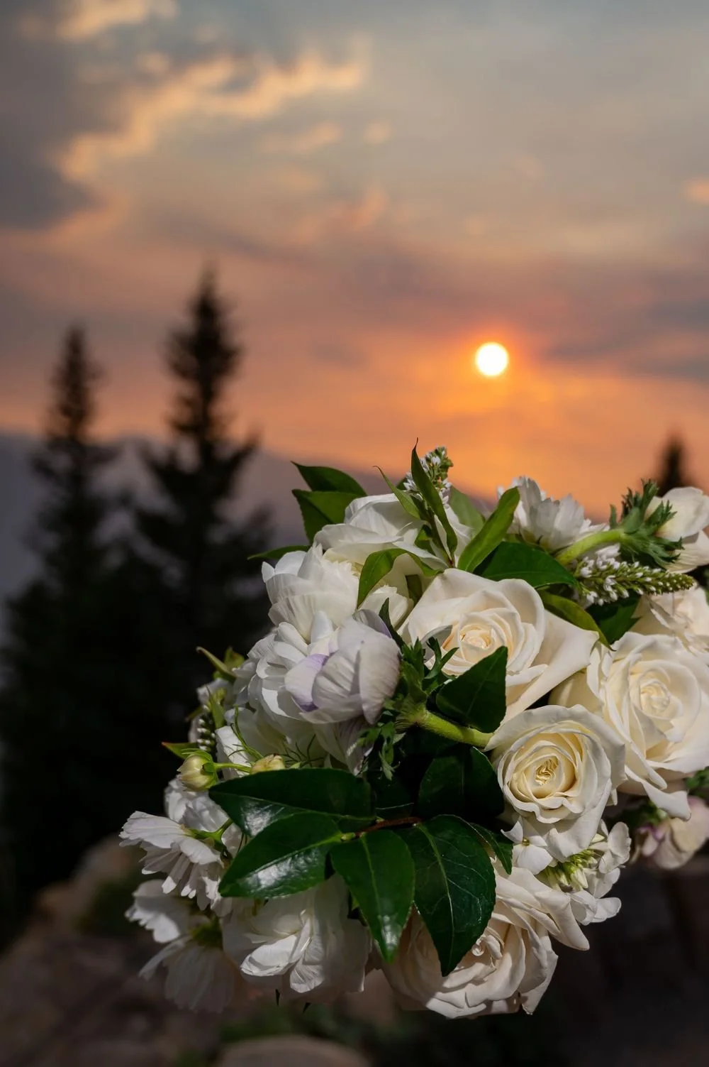 Bouquet of white roses and greenery against a sunset backdrop with silhouetted trees.