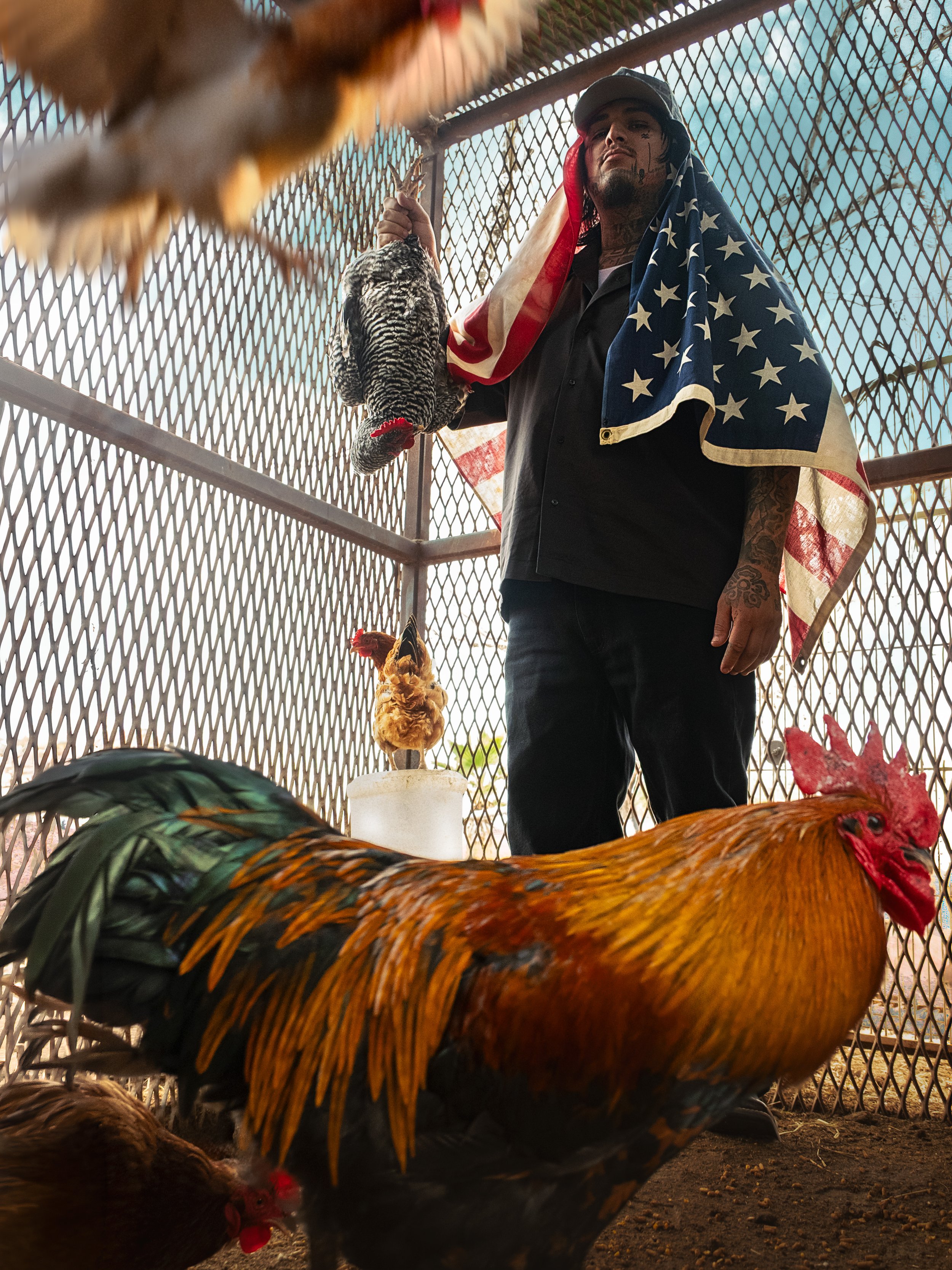 Lis Leon: Patriotic Paralysis