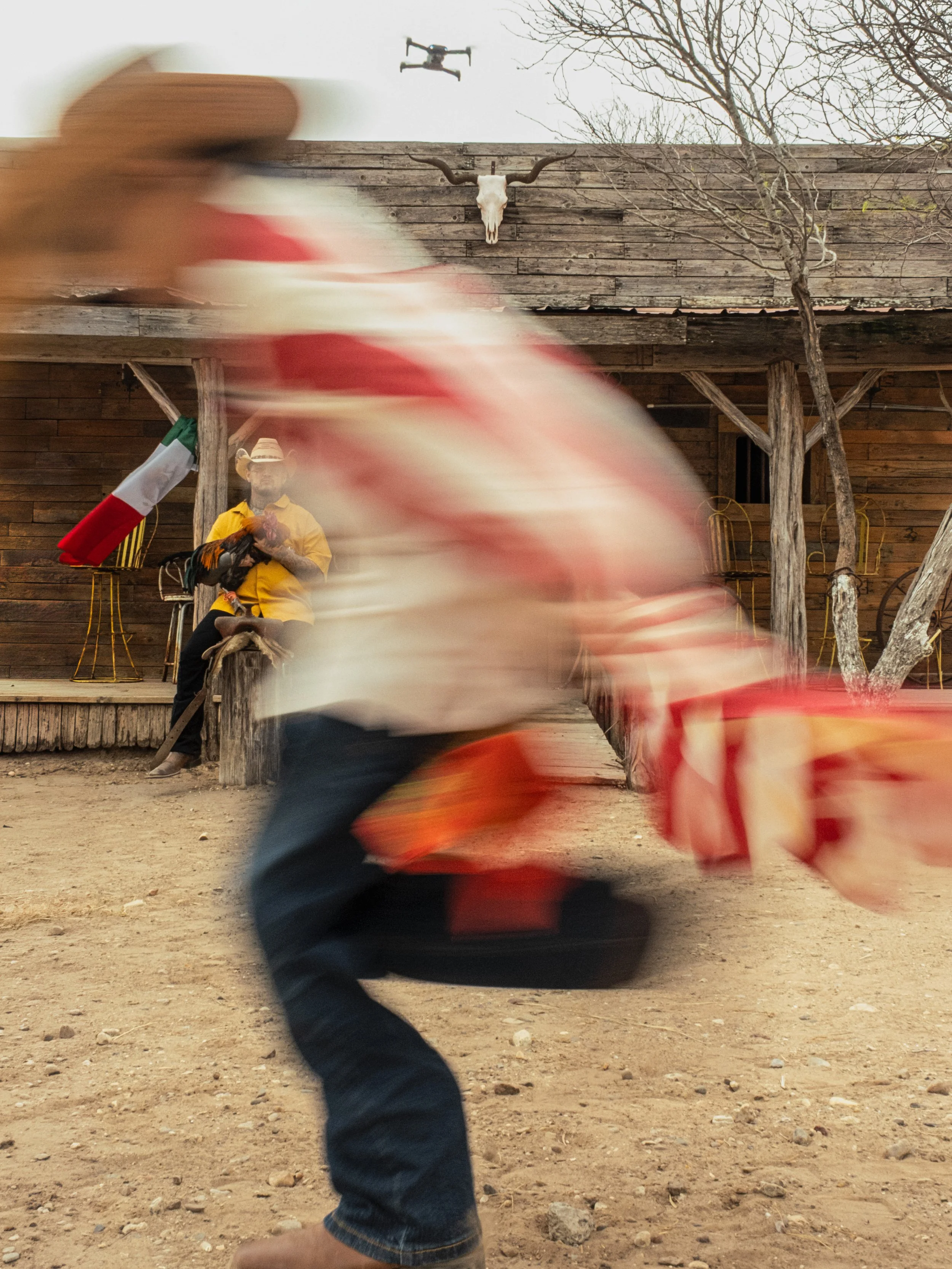 Lis Leon: Patriotic We the People