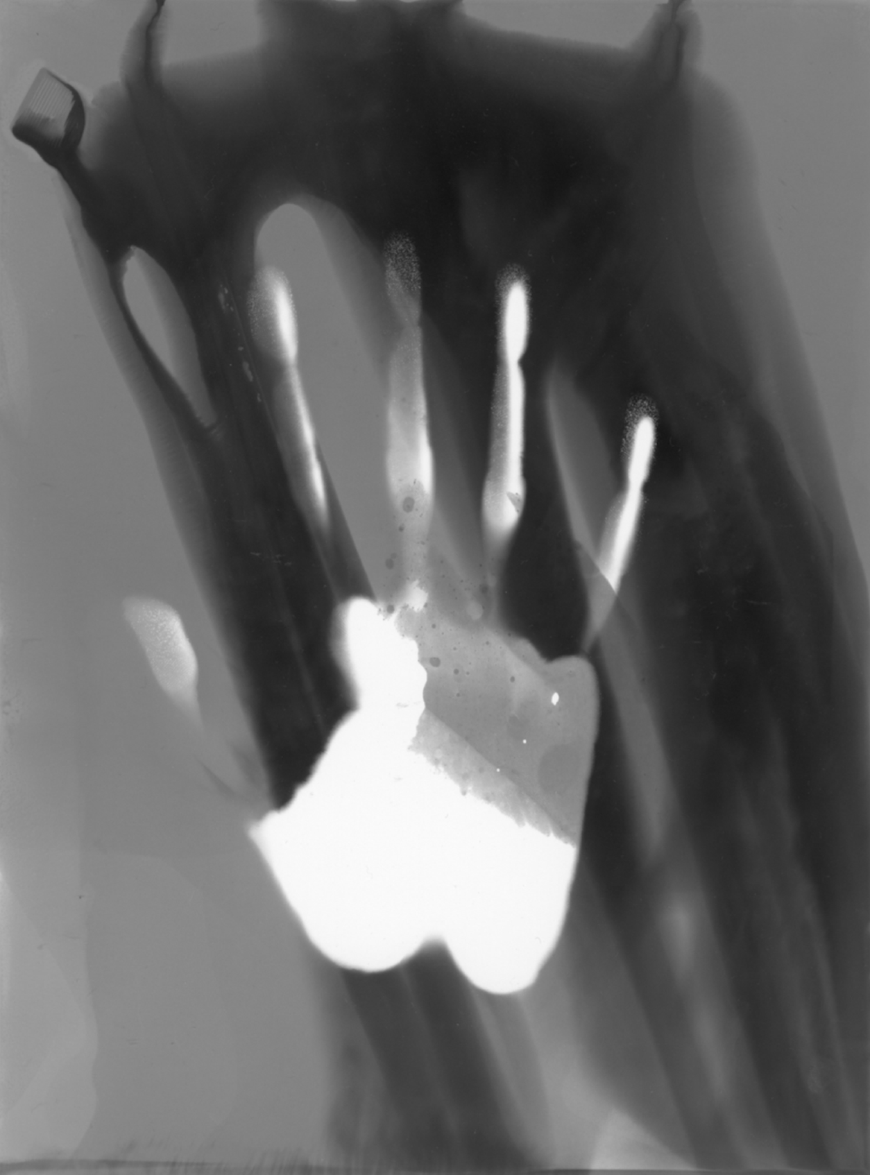 Heather Nusz: Imprint