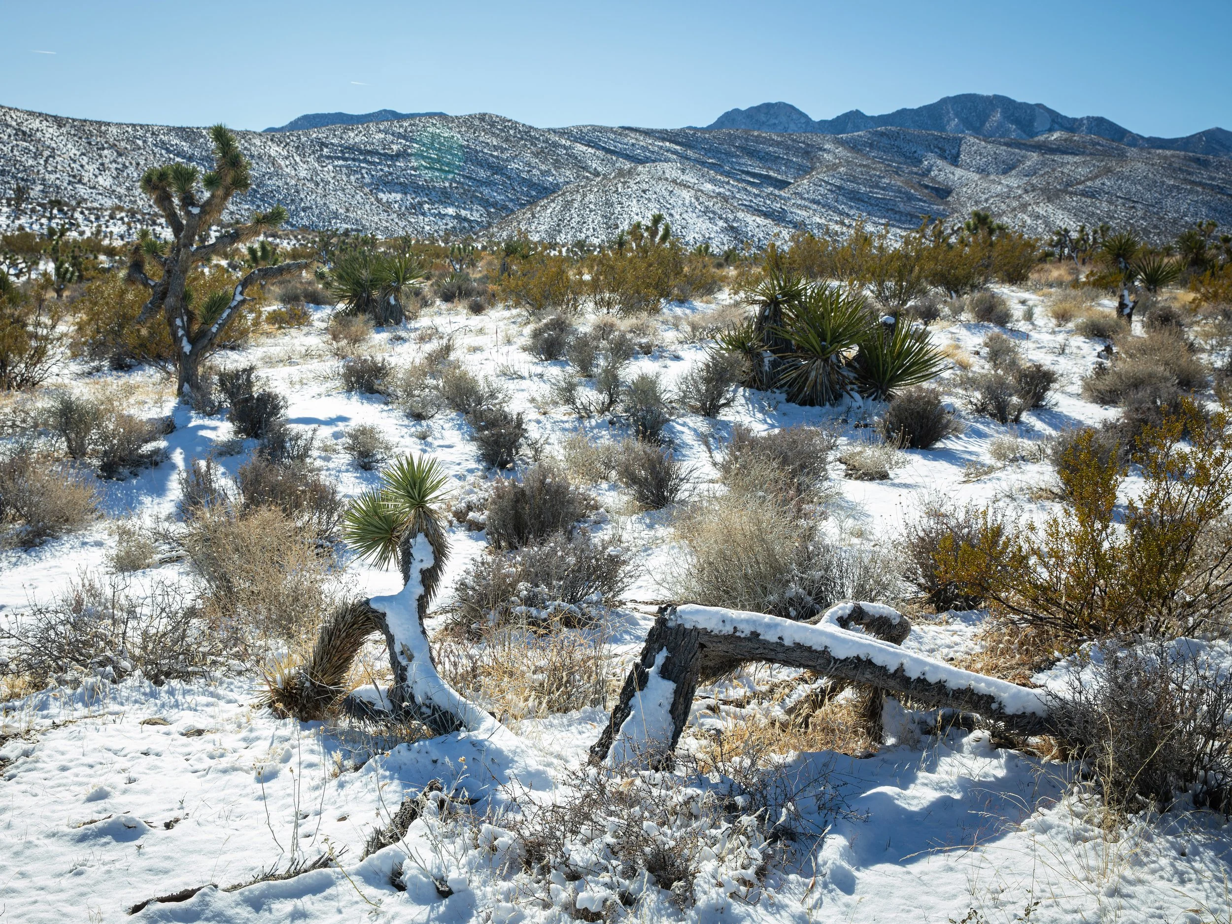 Isabelle Ruen: A Winter Day