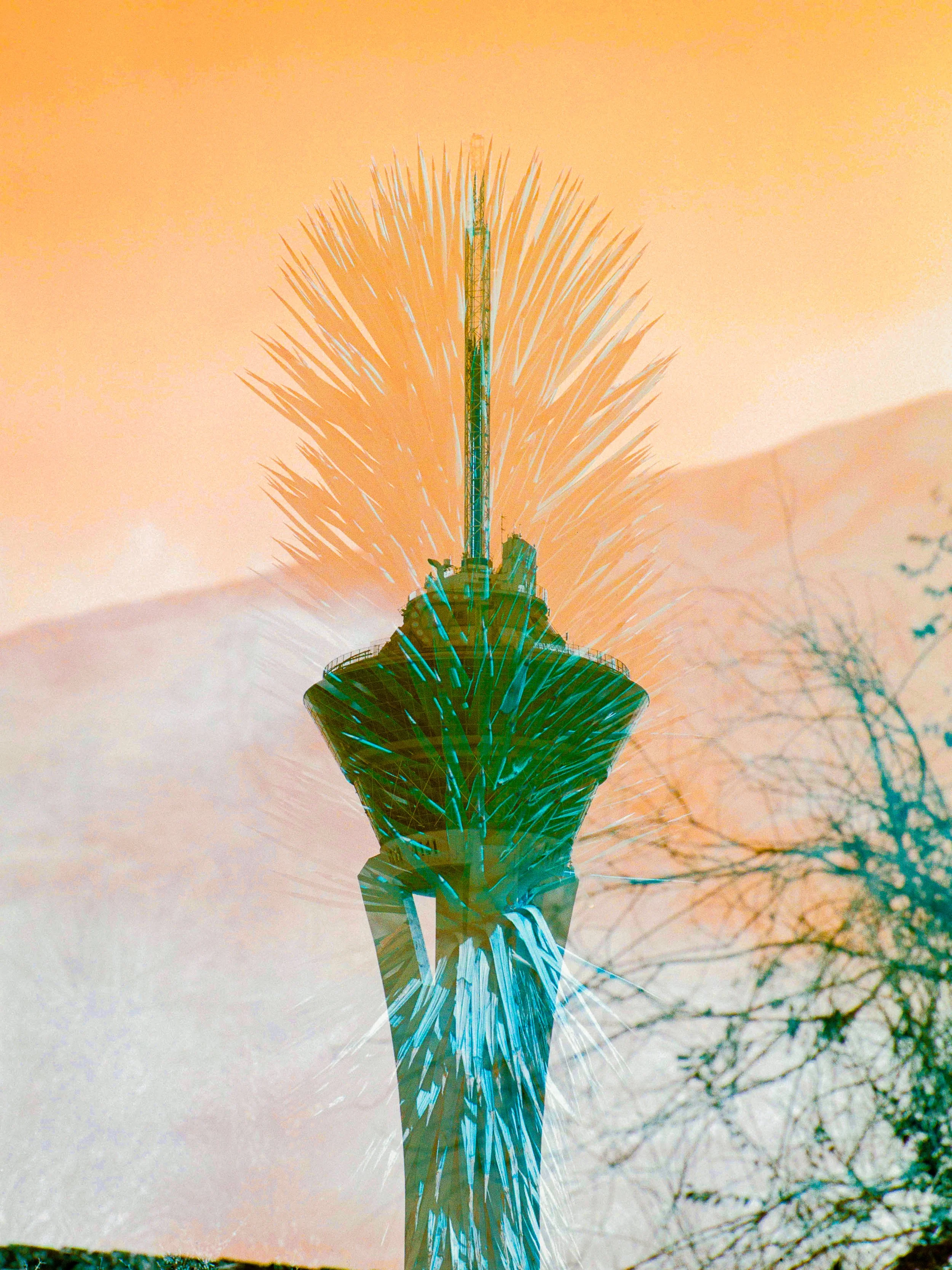 Nick Strom: Vegas Bloom