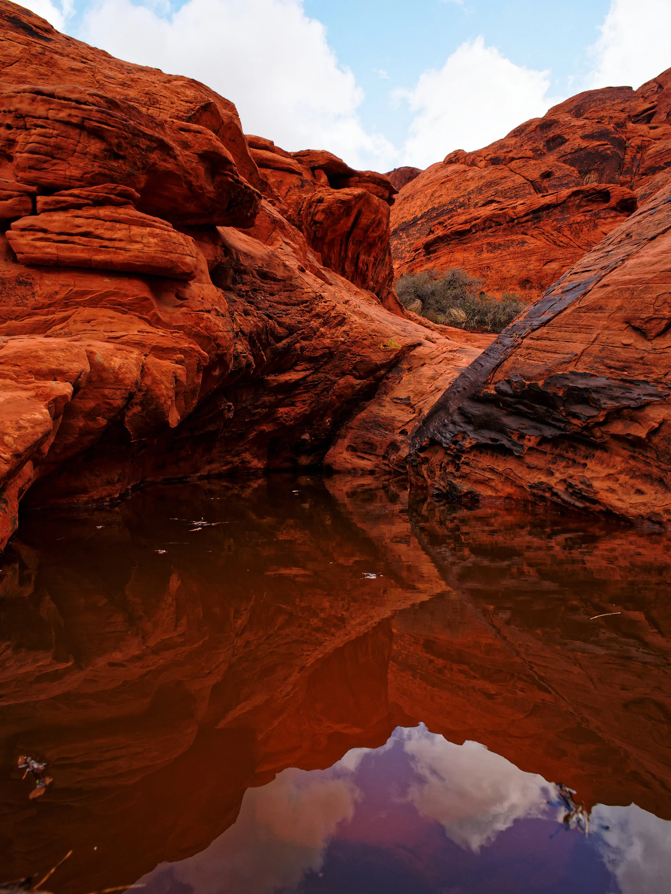 Scott W Gonzalez: Reflected Solitude