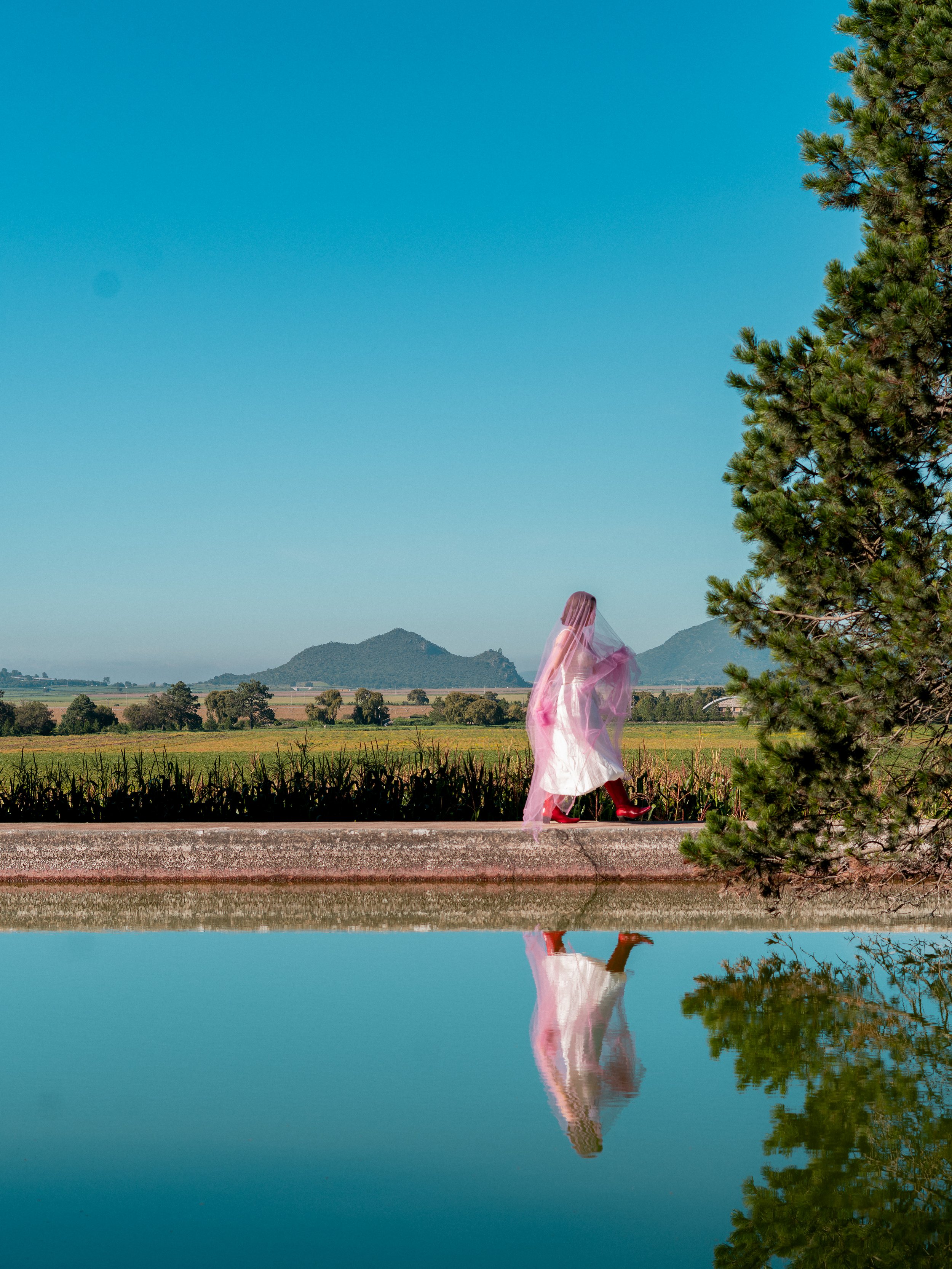 Diana Navarrete: Malek