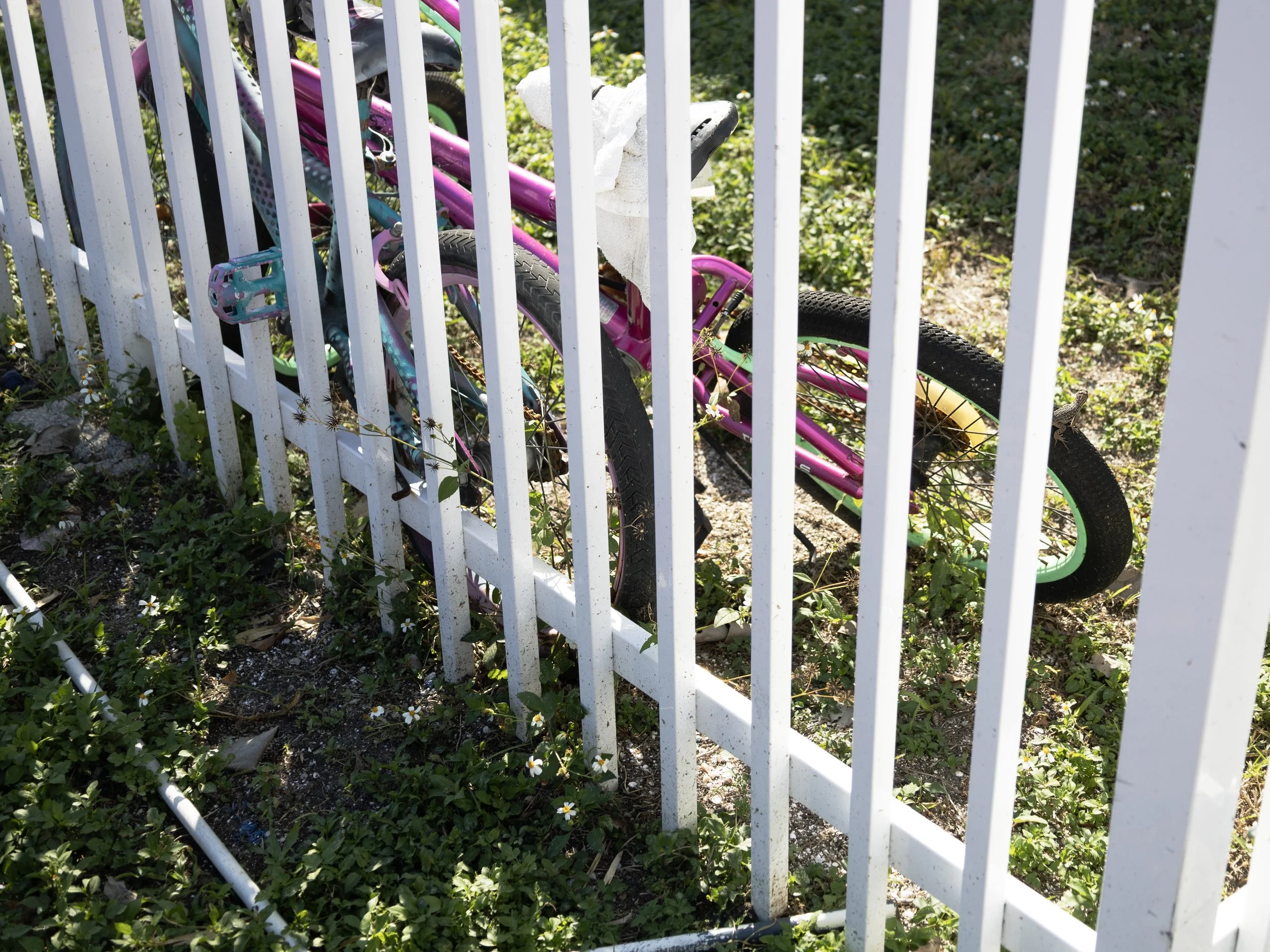 Kiana Kohut: Quiet Disarray