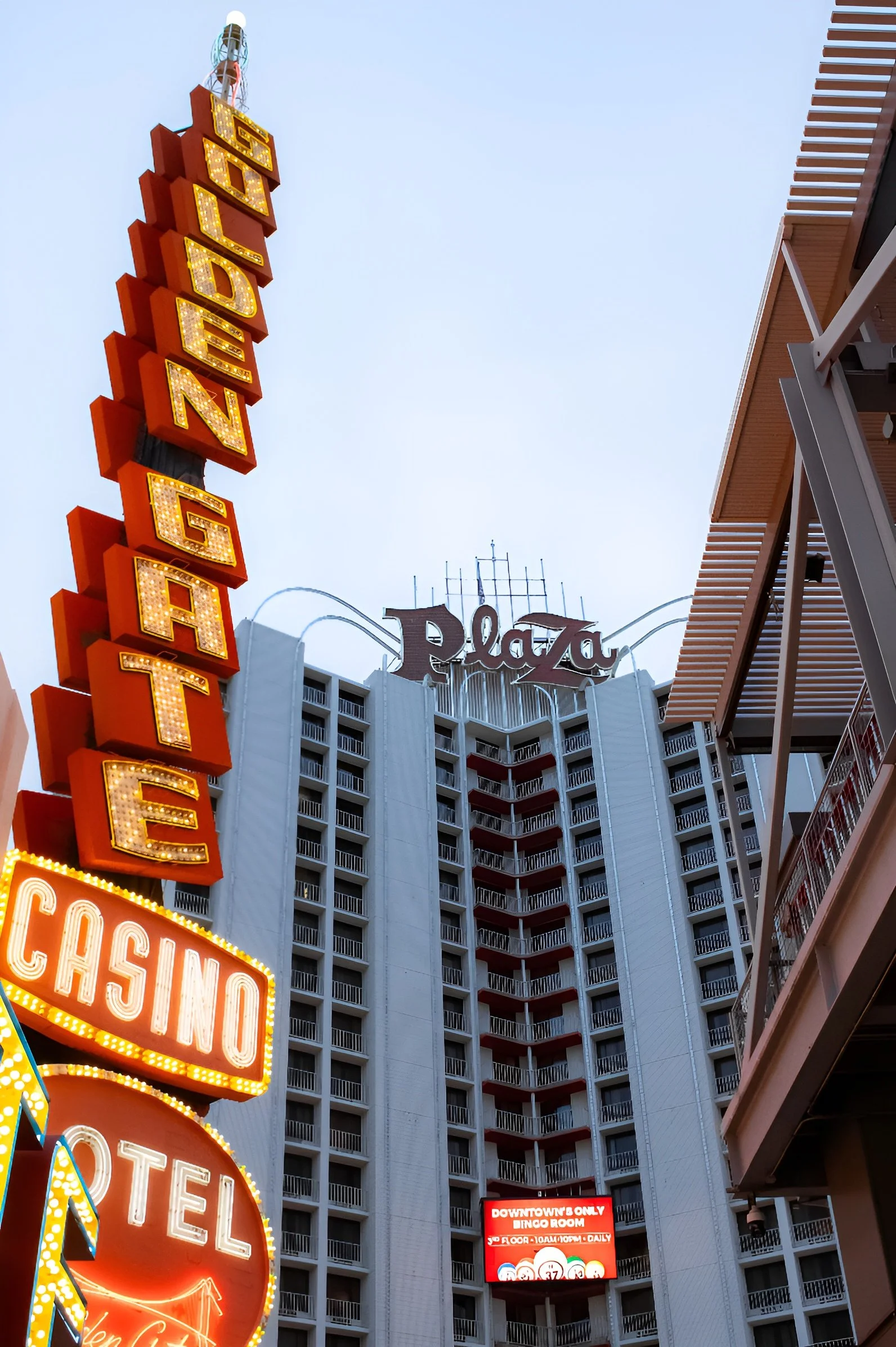 Brianna Tertrou: Golden Glow