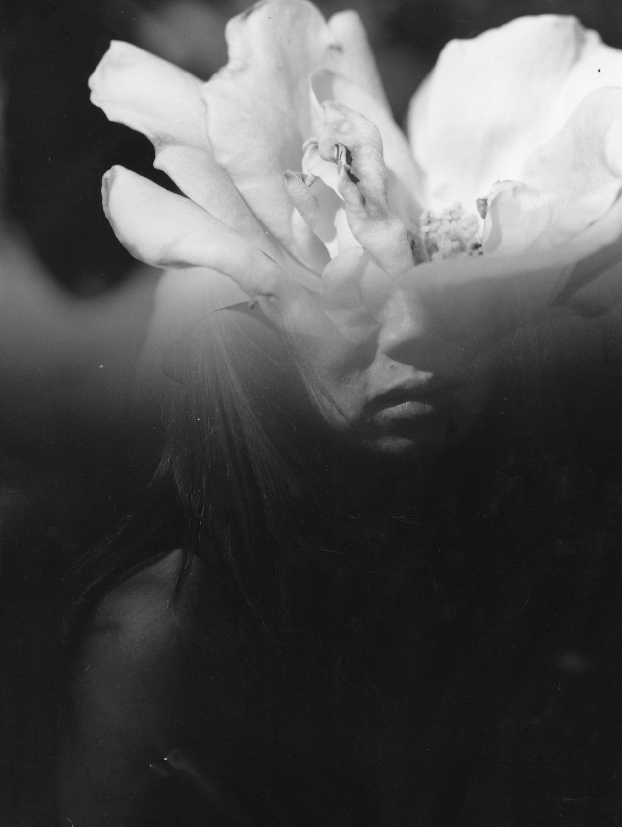 Heather Nusz: Pollinate