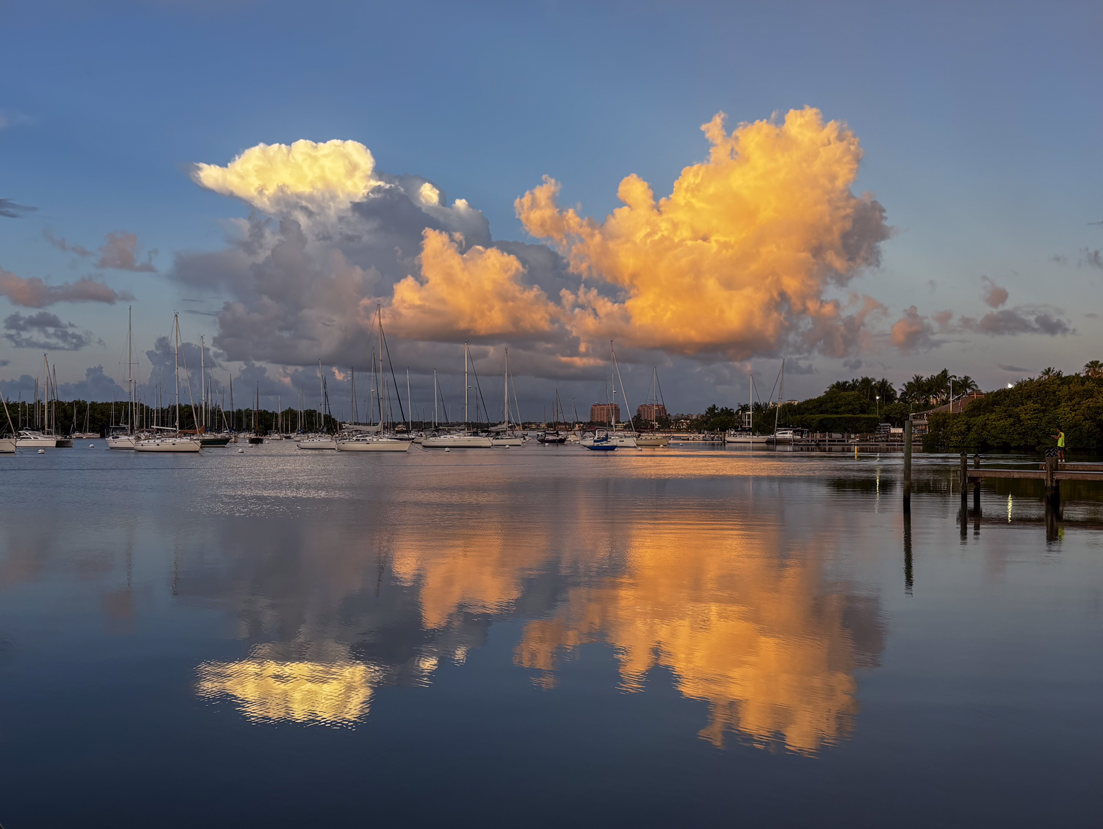 Natalia Bacal: Cotton Candy