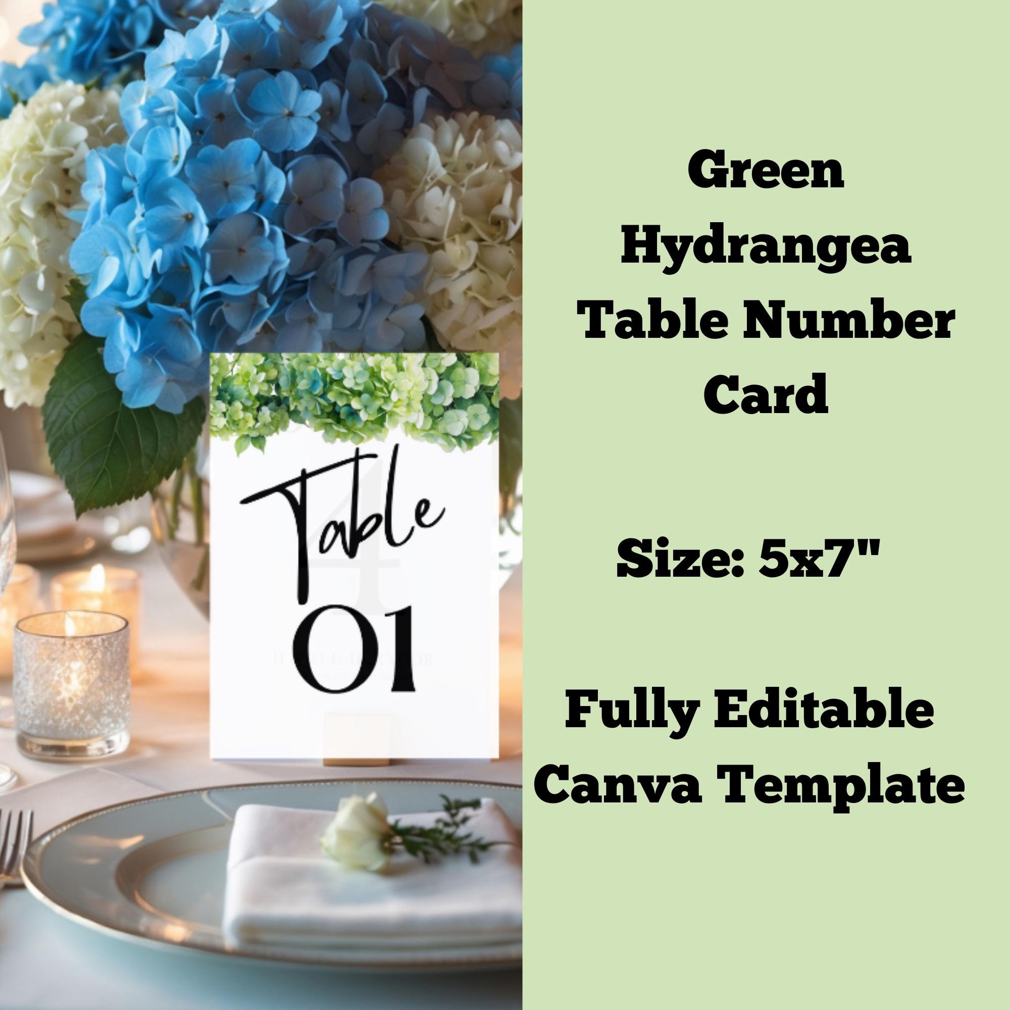 https://i.etsystatic.com/58413033/r/il/13d4c4/6780740630/il_fullxfull.6780740630_mlc1.jpg