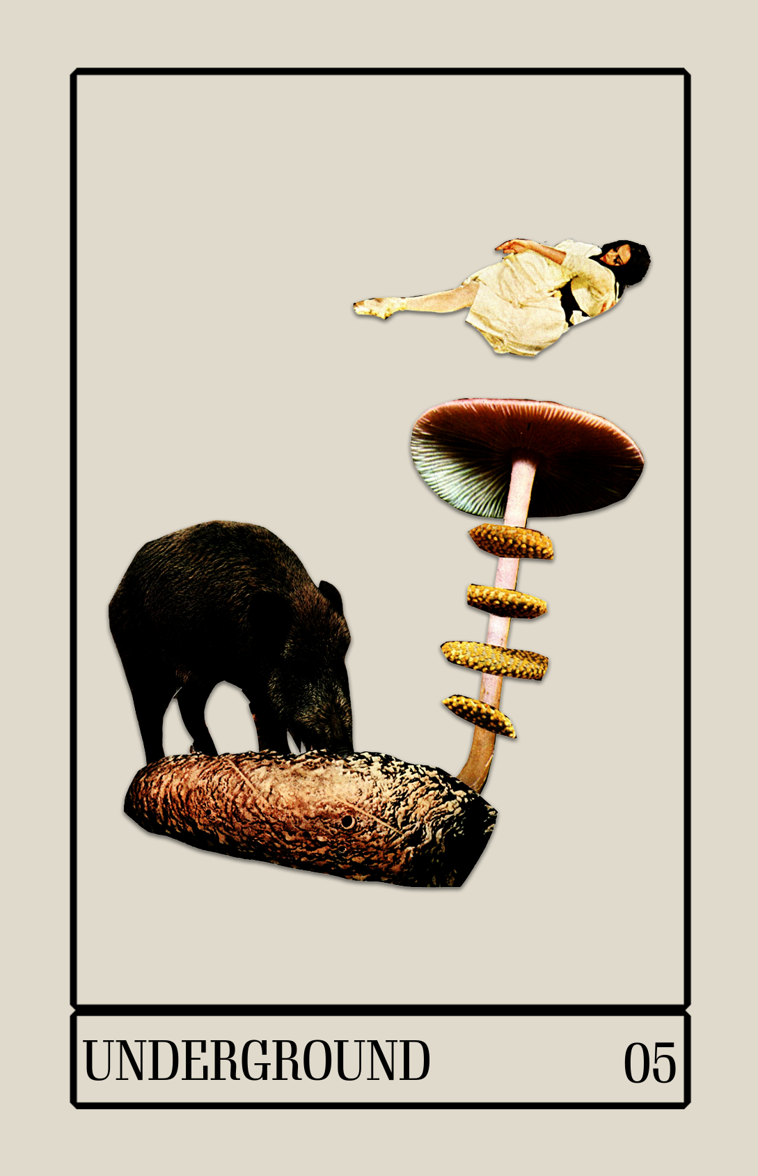 FINAL - TRAVELERS ORACLE DECK - IMAGES_alt may 13-7.png