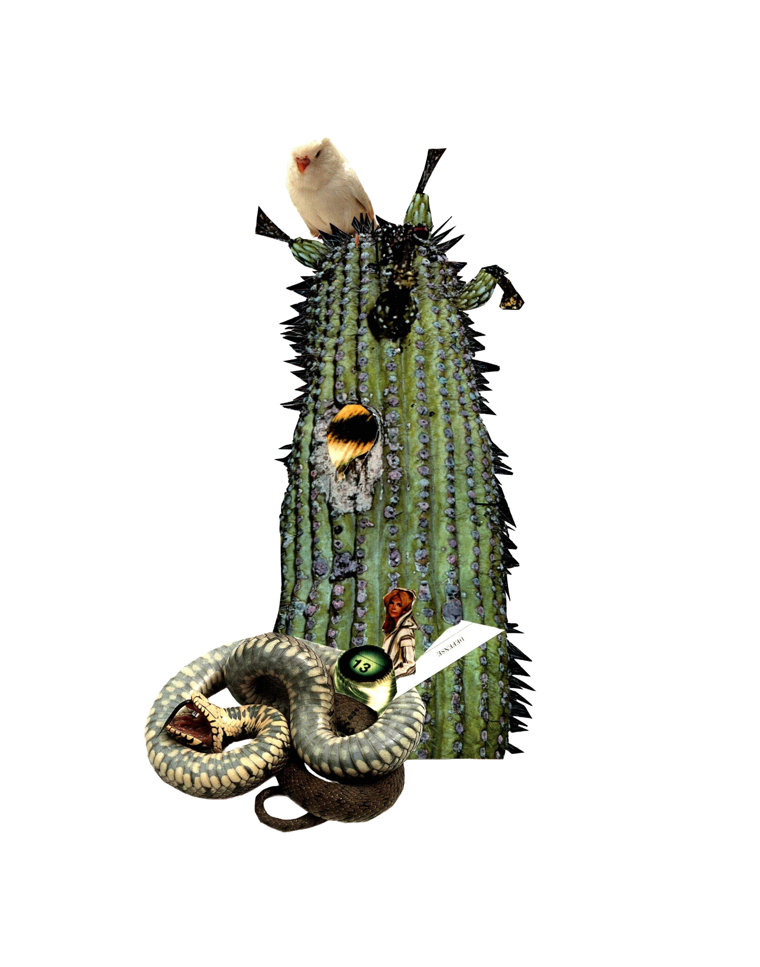 Desert Mindset, 2023