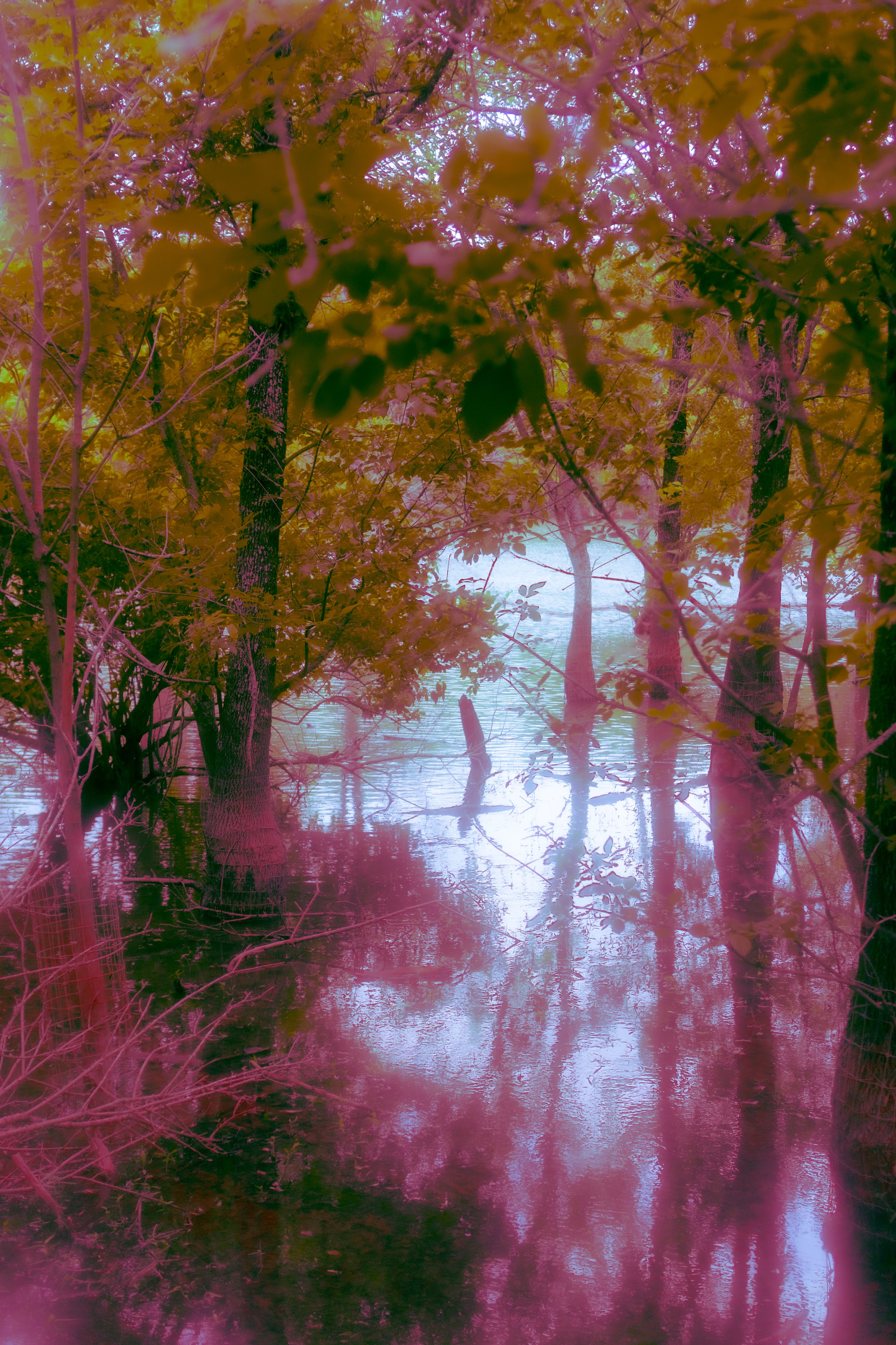 real9490_albumcover_001-2.jpeg