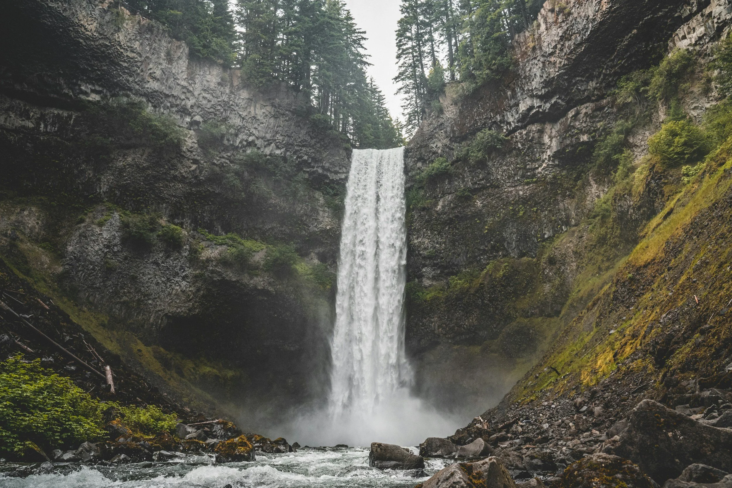 A tall waterfall cascading into a rocky river, surrounded by moss-covered cliffs and dense evergreen forest.