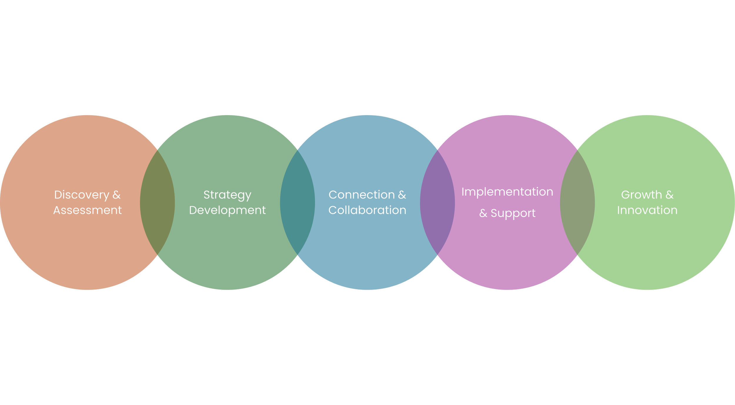 A graphic with overlapping circles representing stages: Discovery & Assessment, Strategy Development, Connection & Collaboration, Implementation & Support, Growth & Innovation.