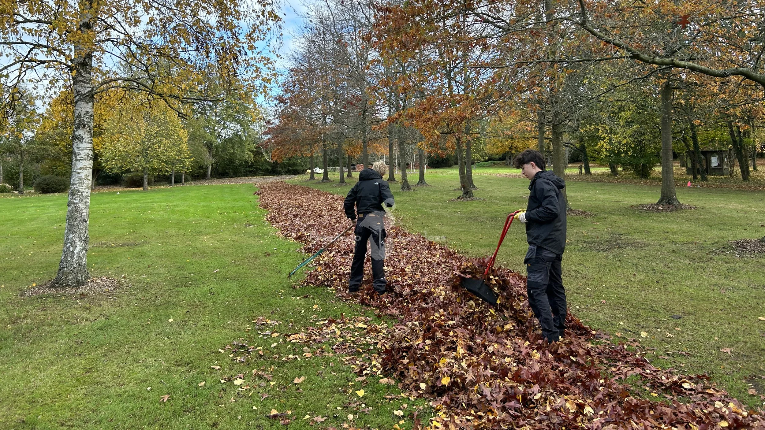 gardener-maidenhead-garden-maintenance-maidenhead-autumn-gardening.jpg