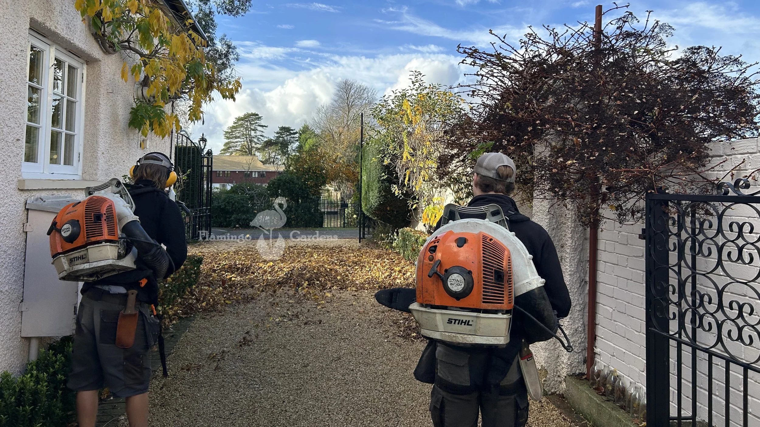 gardener-marlow-garden-maintenance-marlow-autumn-leaf-clearance-maidenhead.jpg