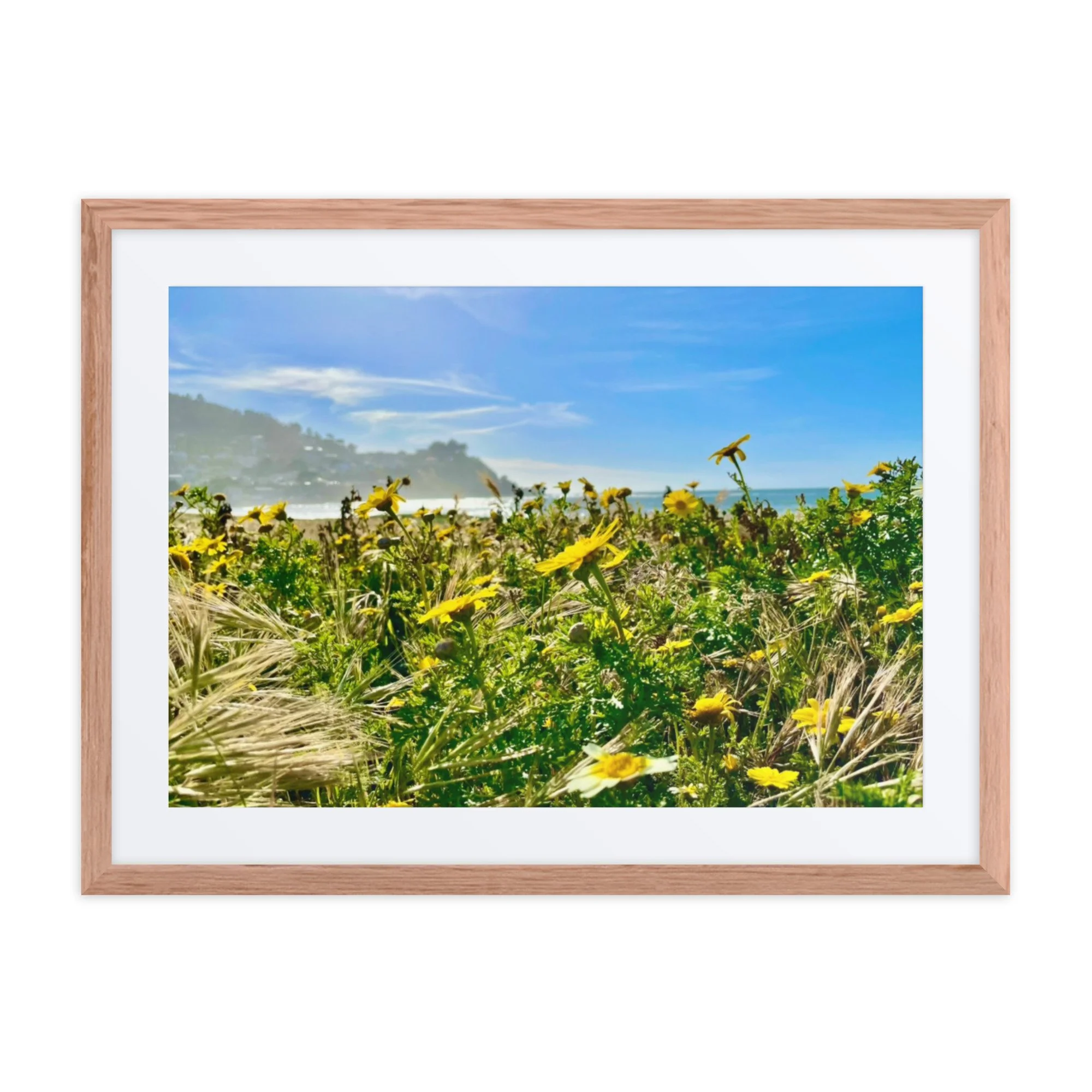 Where Sunshine Meets the Sea