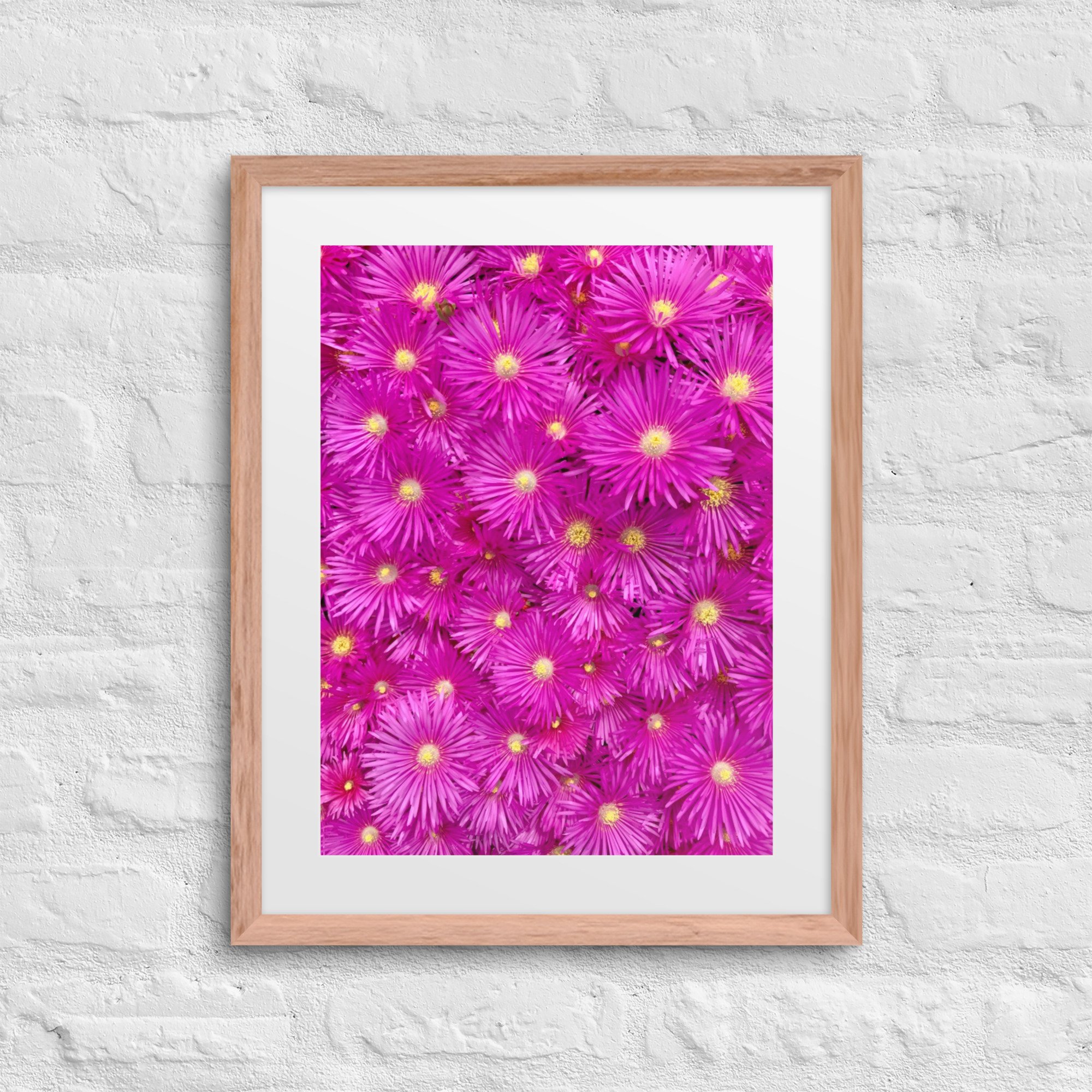 matte-paper-framed-poster-with-mat-(in)-red-oak-16x20-front-67f88d2842439.jpg