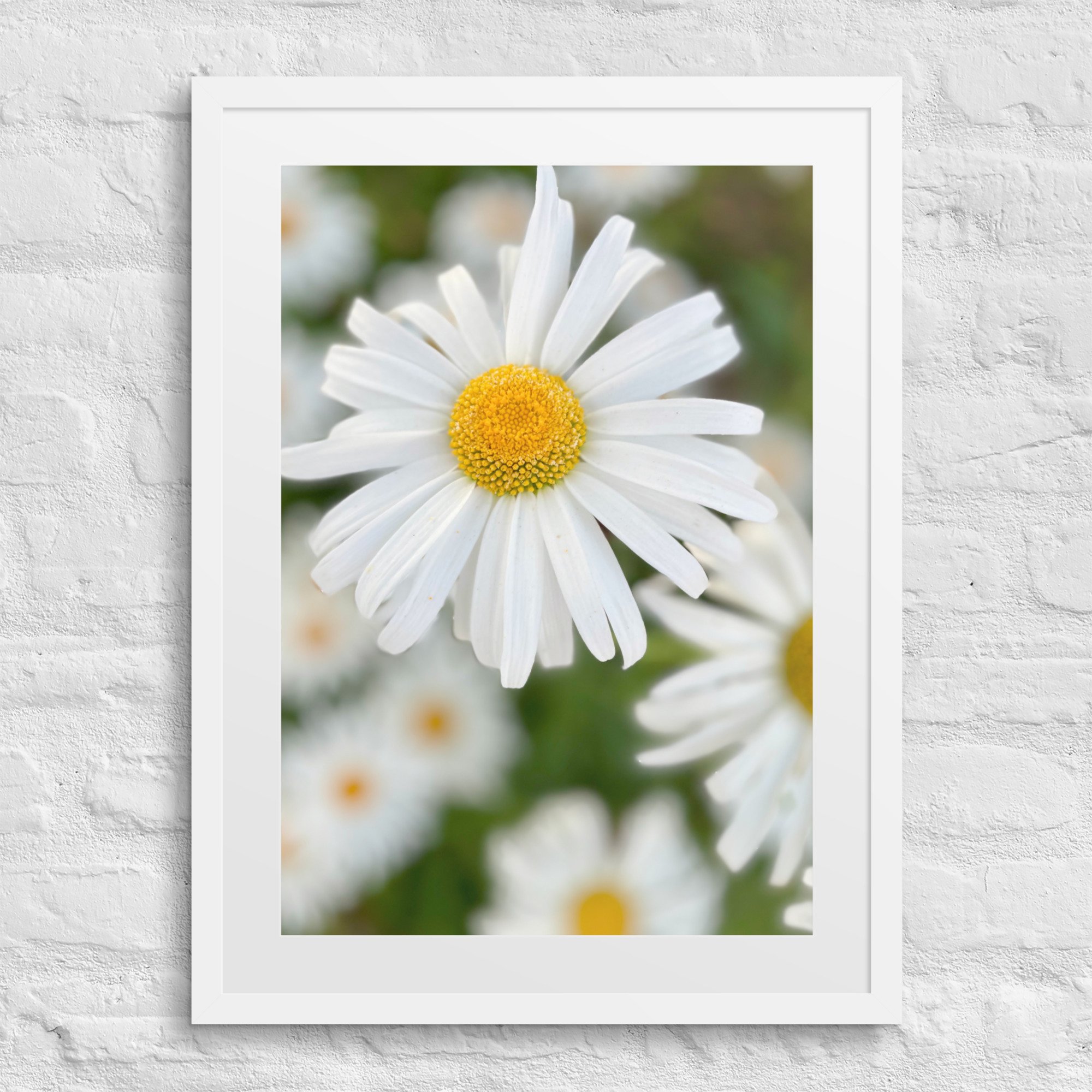 matte-paper-framed-poster-with-mat-(in)-white-18x24-front-67f9b3ea3e2ed.jpg