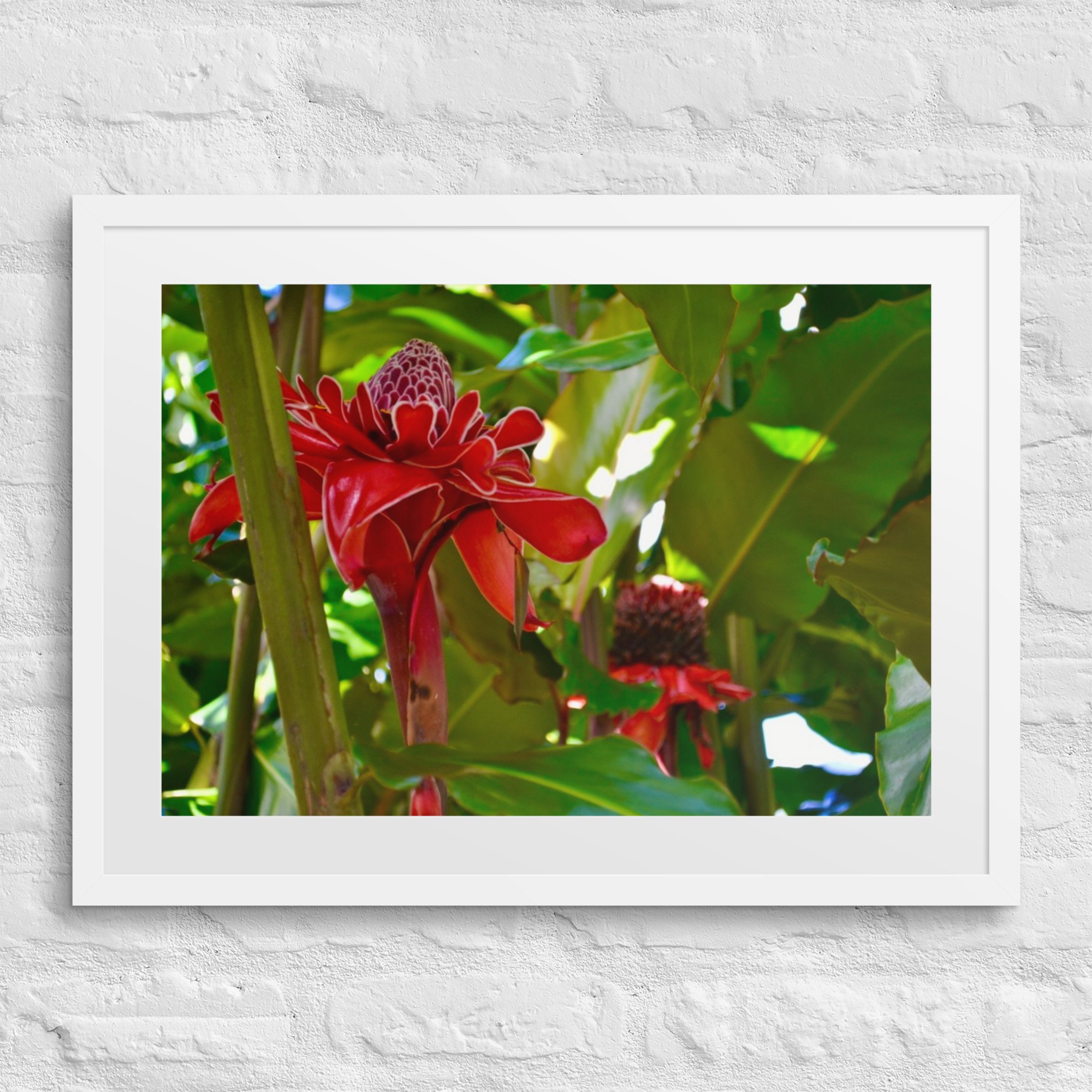 matte-paper-framed-poster-with-mat-(in)-white-18x24-front-67f9c93e623f3.jpg