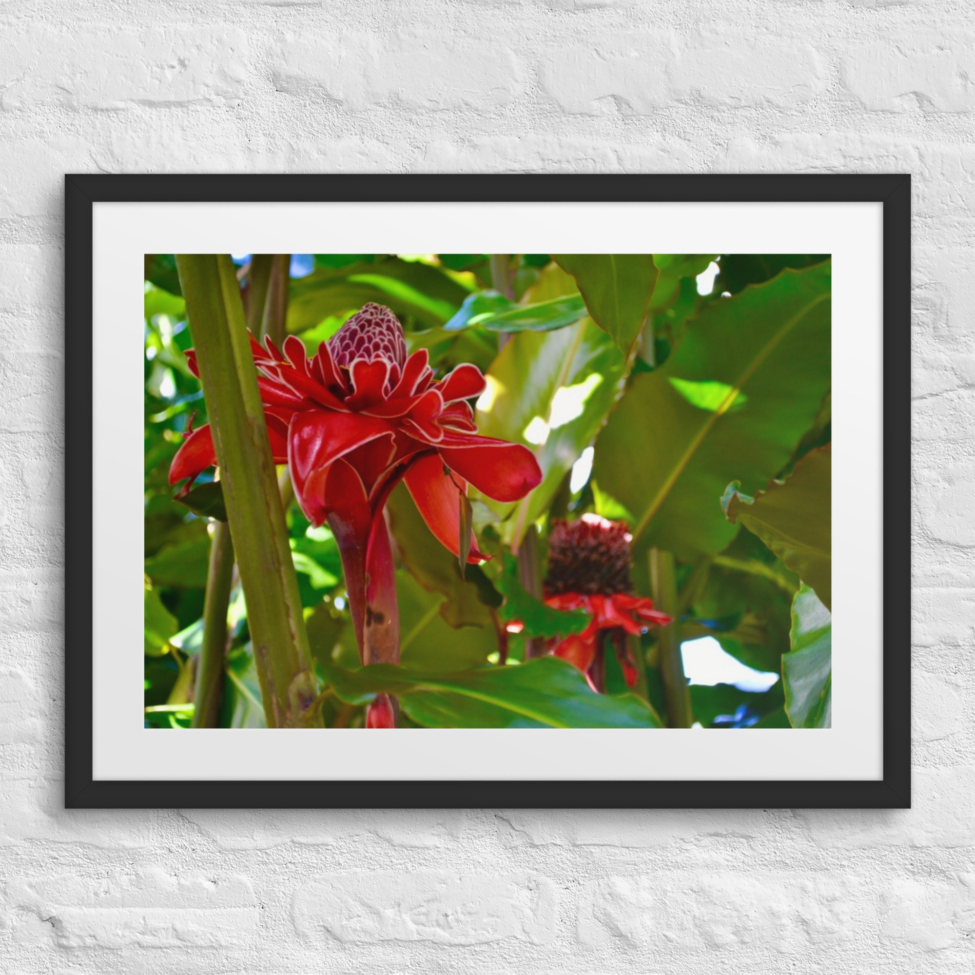 matte-paper-framed-poster-with-mat-(in)-black-18x24-front-67f9c93e62c6f.jpg