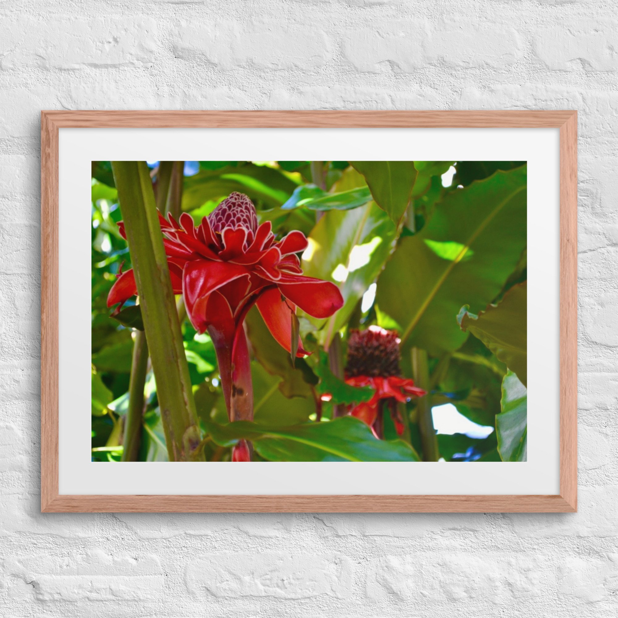 matte-paper-framed-poster-with-mat-(in)-red-oak-18x24-front-67f9c93e62d47.jpg