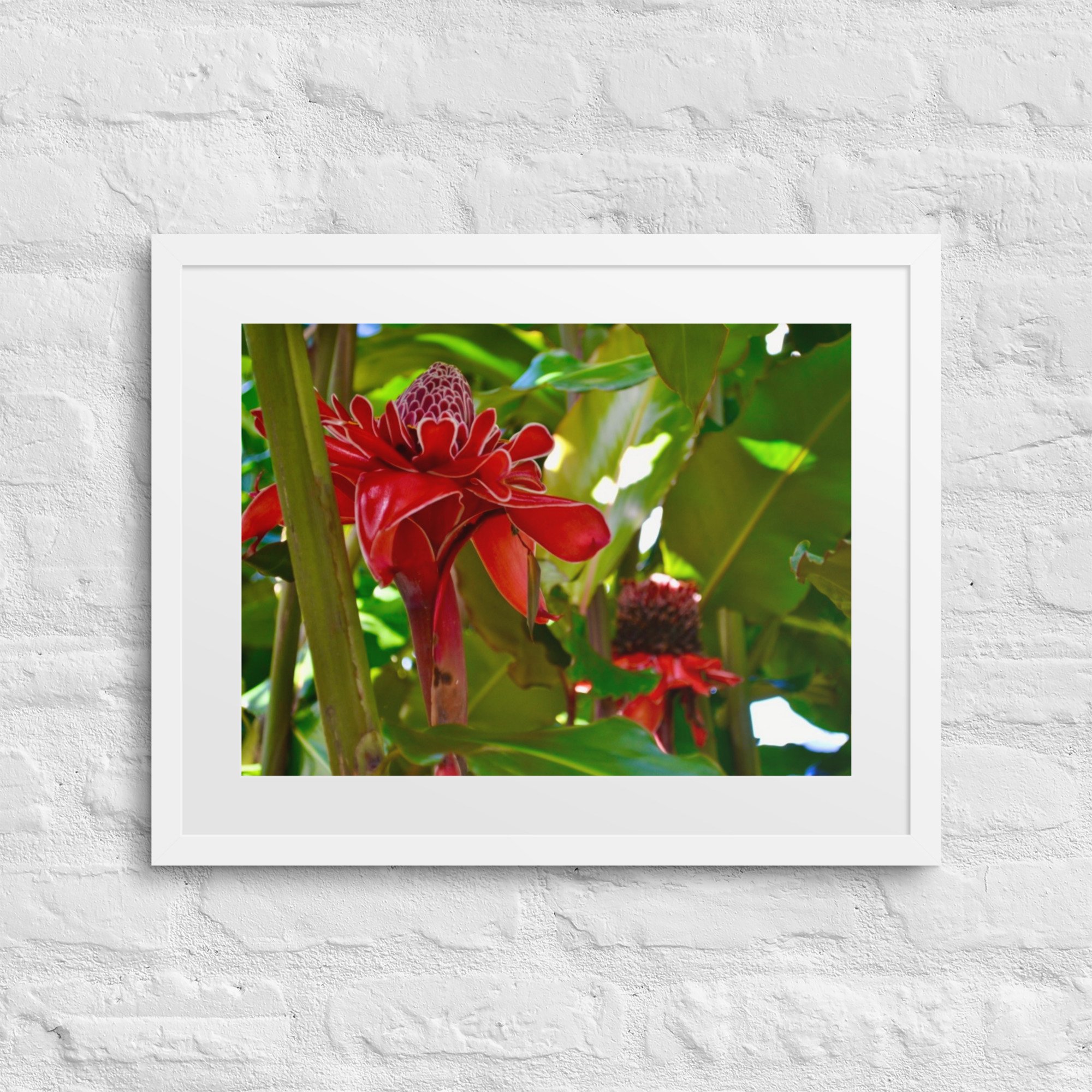 matte-paper-framed-poster-with-mat-(in)-white-16x20-front-67f9c93e62dcb.jpg
