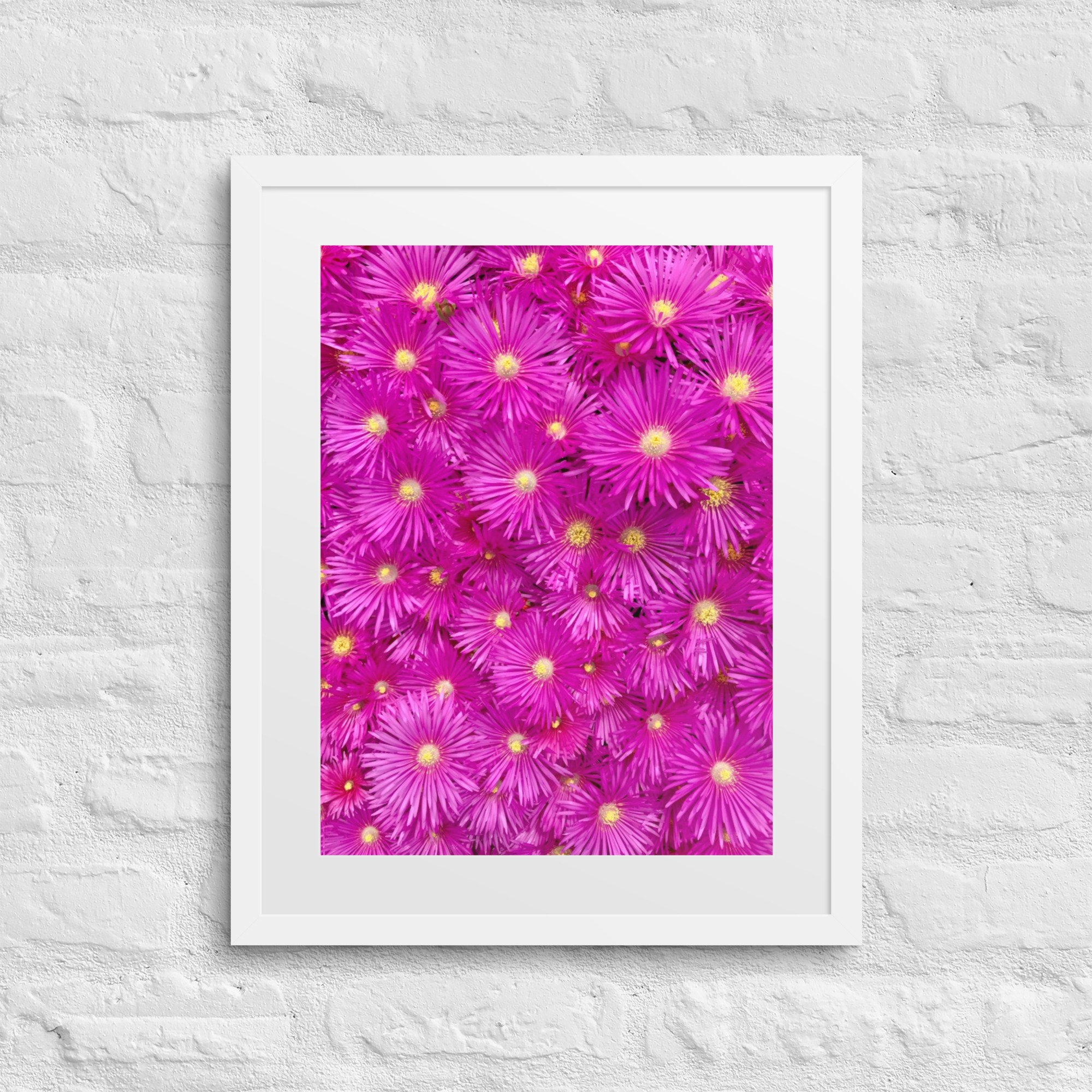 matte-paper-framed-poster-with-mat-(in)-white-16x20-front-68007829200ba.jpg