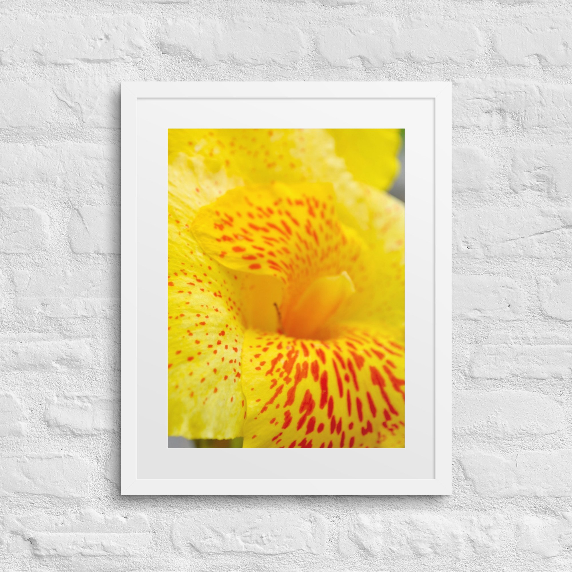 matte-paper-framed-poster-with-mat-(in)-white-16x20-front-680078ec40604.jpg