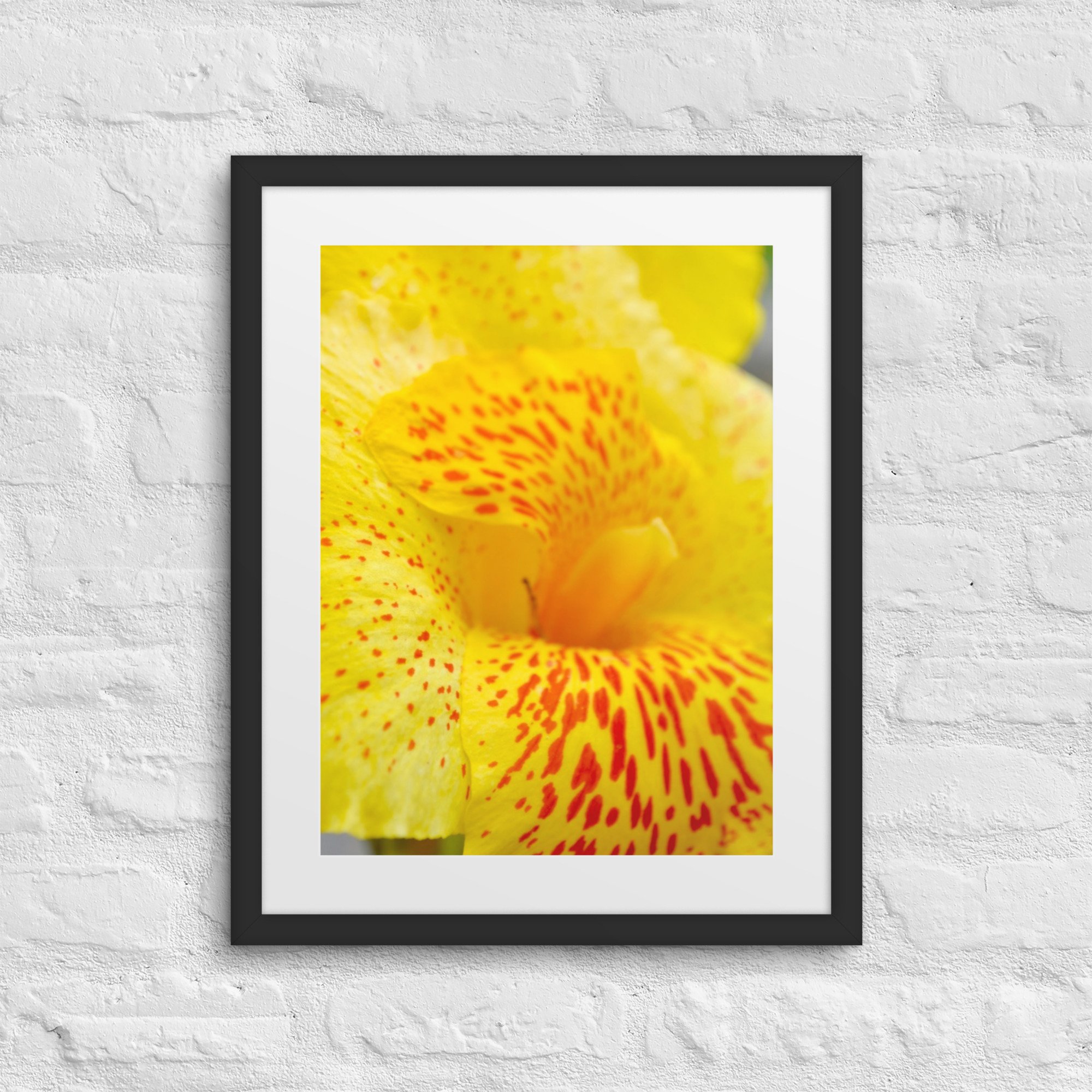 matte-paper-framed-poster-with-mat-(in)-black-16x20-front-680078ec40c2f.jpg