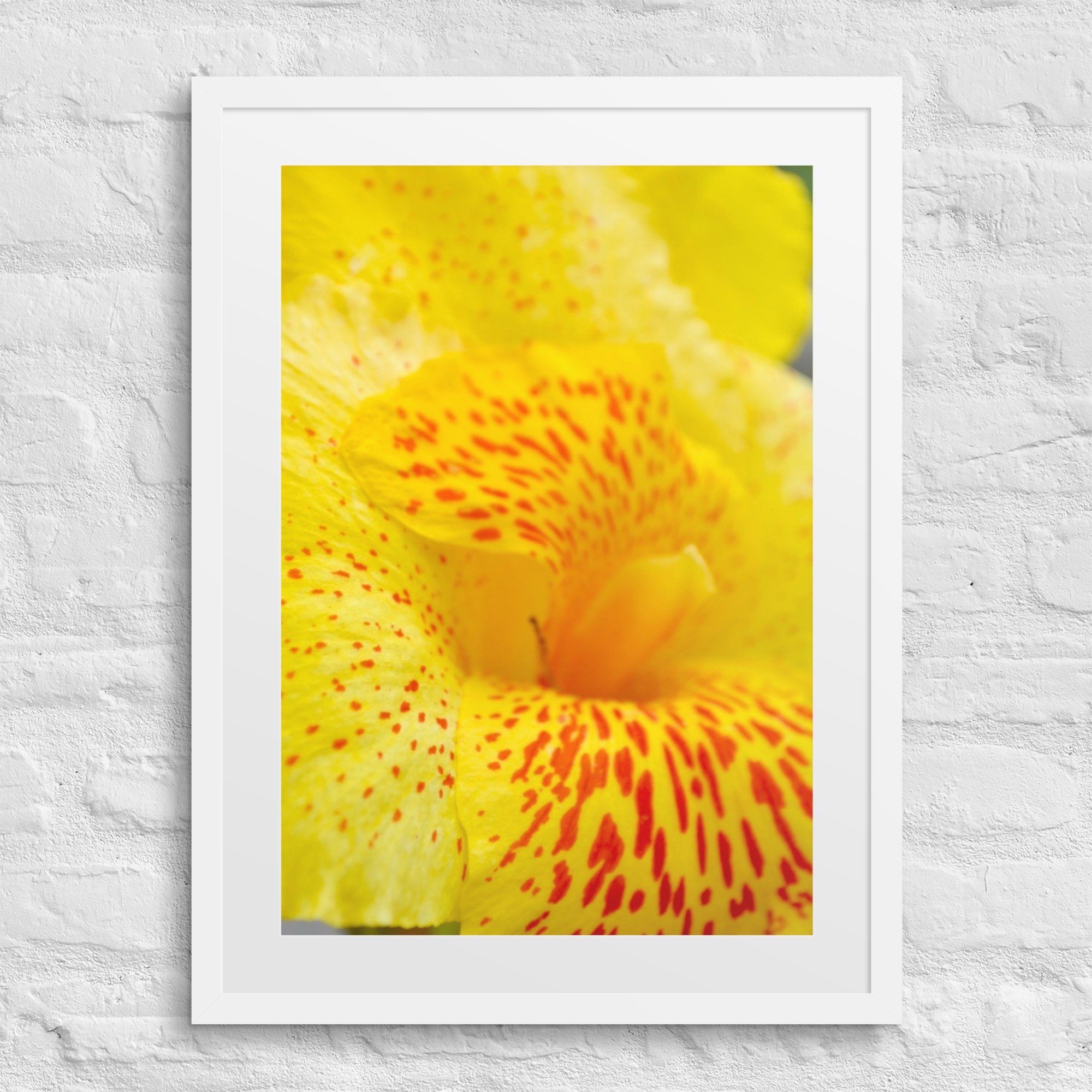 matte-paper-framed-poster-with-mat-(in)-white-18x24-front-680078ec40df7.jpg