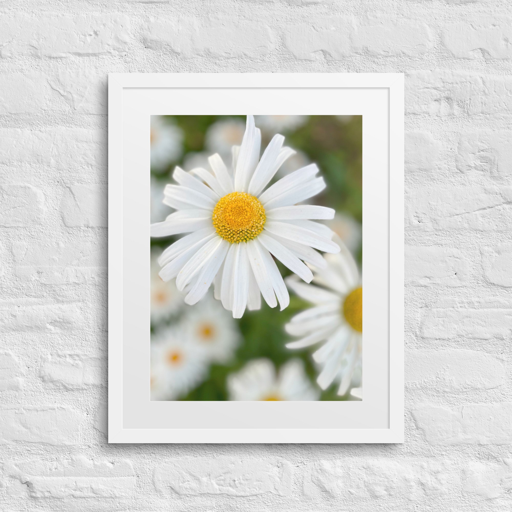 matte-paper-framed-poster-with-mat-(in)-white-16x20-front-680079b6d724d.jpg