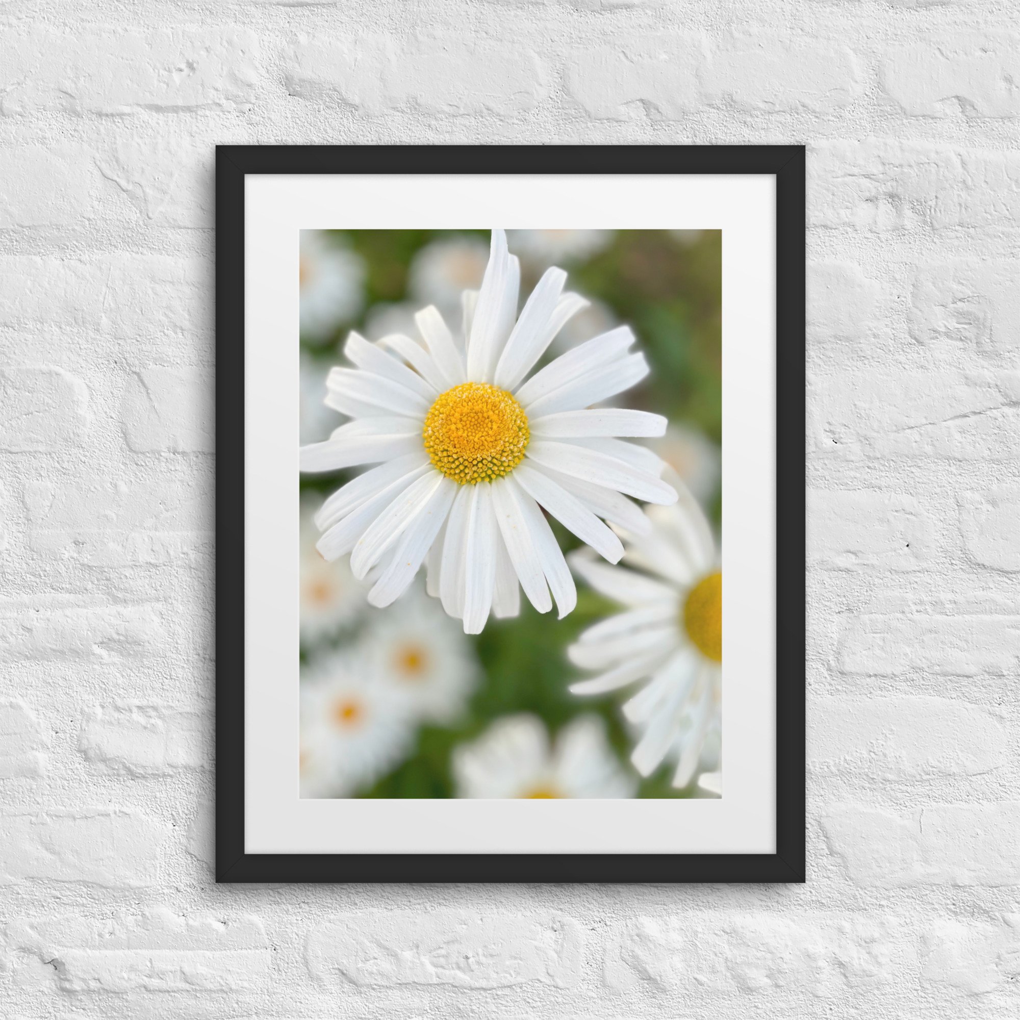 matte-paper-framed-poster-with-mat-(in)-black-16x20-front-680079b6d776a.jpg
