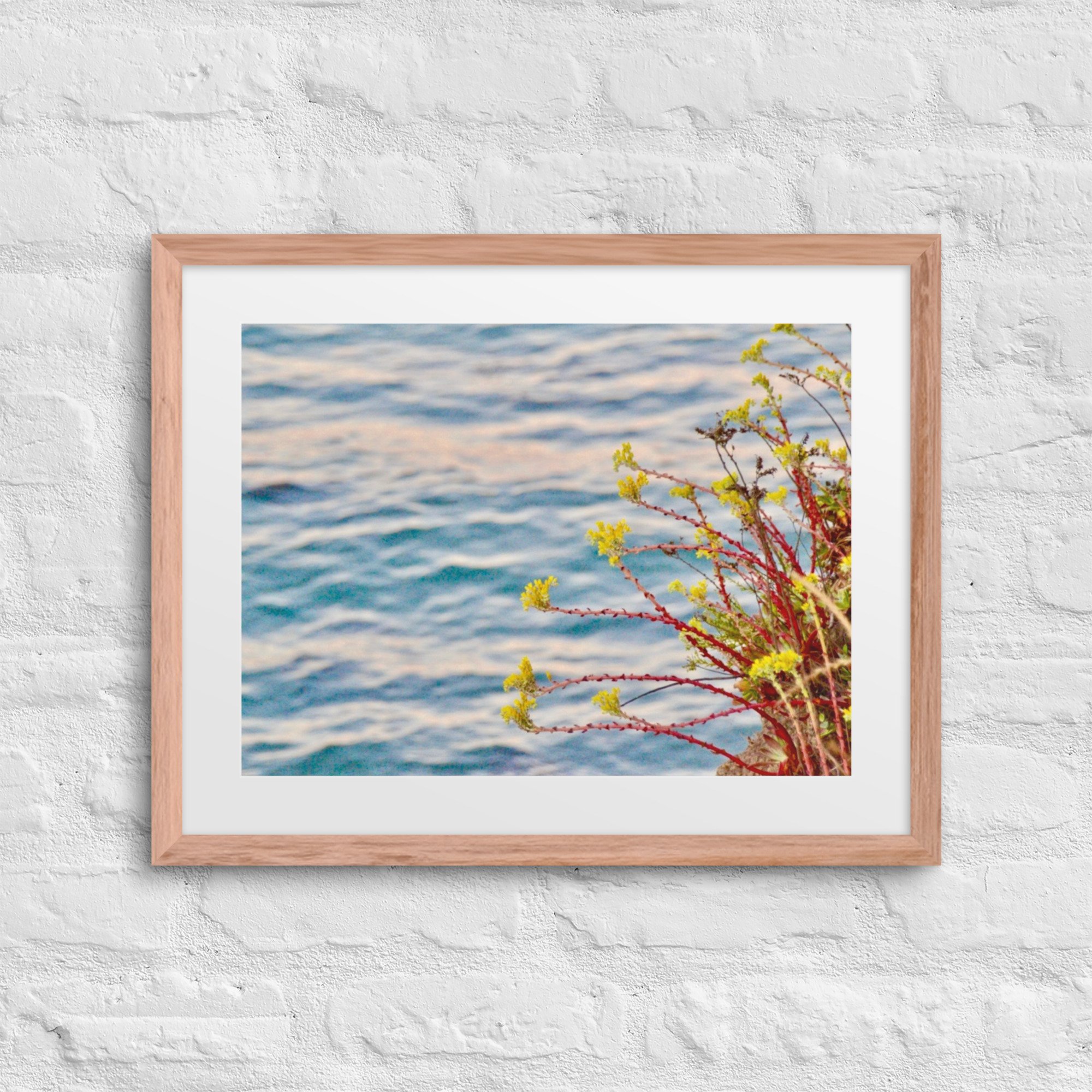 matte-paper-framed-poster-with-mat-(in)-red-oak-16x20-front-68007e1ba5104.jpg
