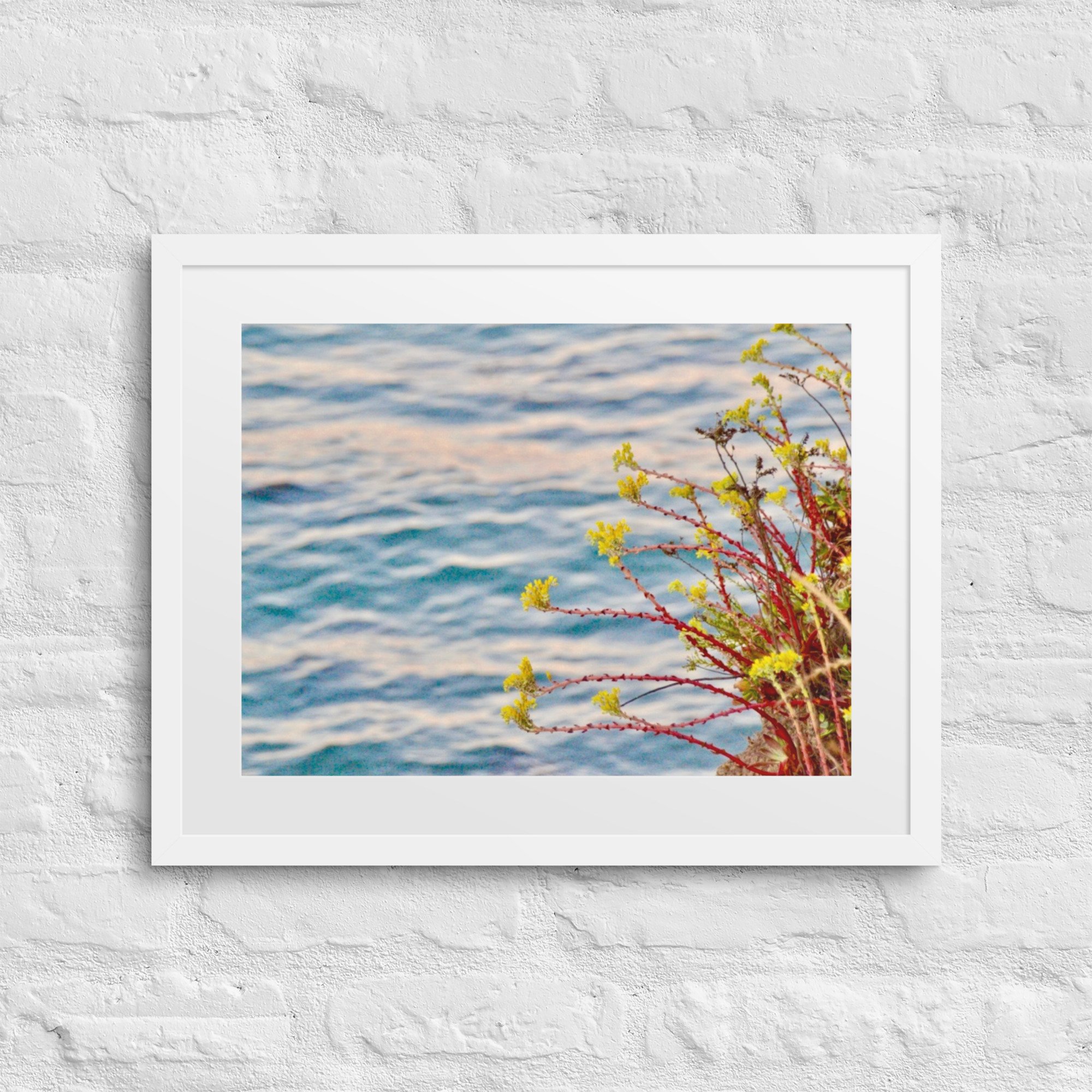 matte-paper-framed-poster-with-mat-(in)-white-16x20-front-68007e1ba51ce.jpg